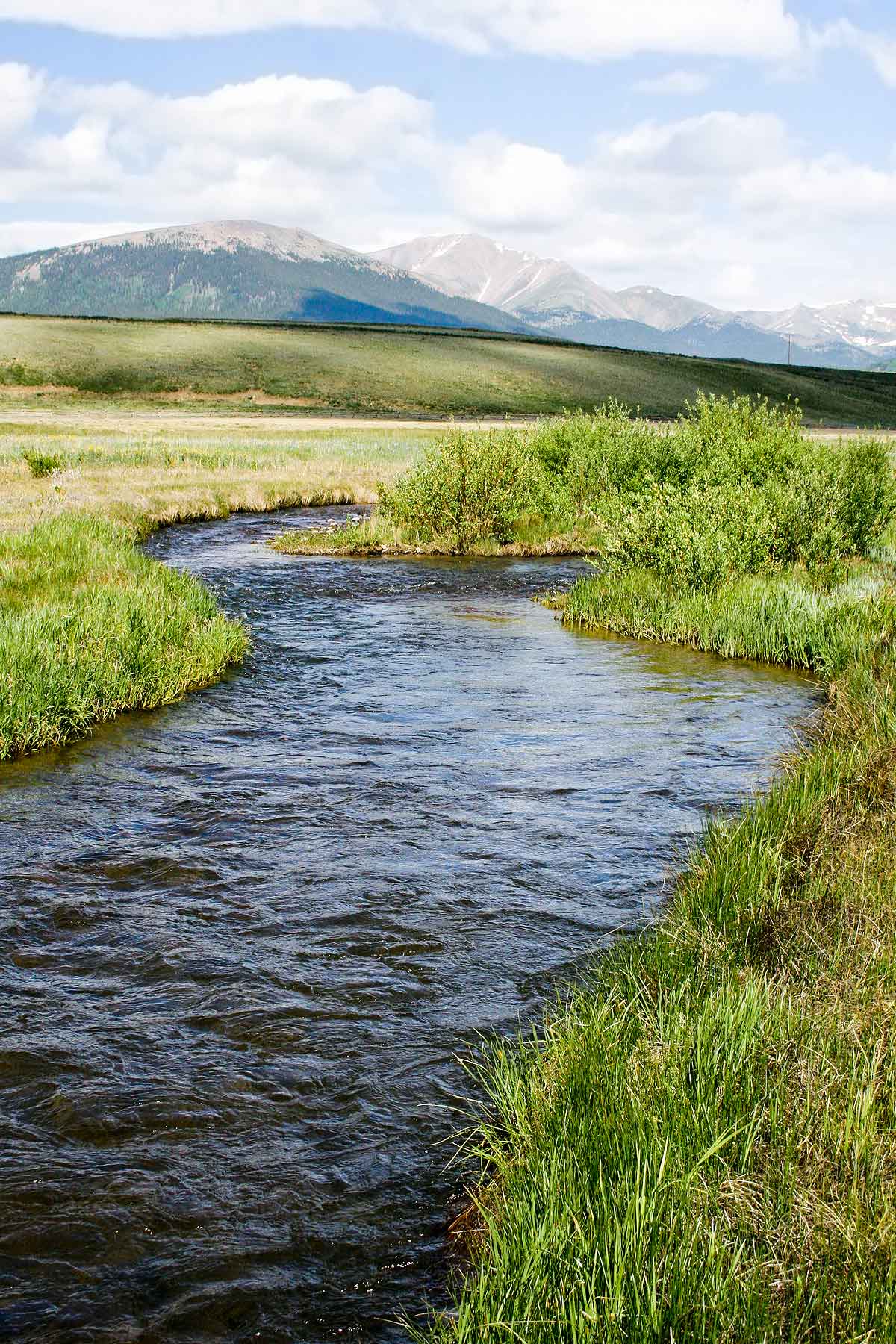 Tarryall Notch Ranch property picture 44 of 71