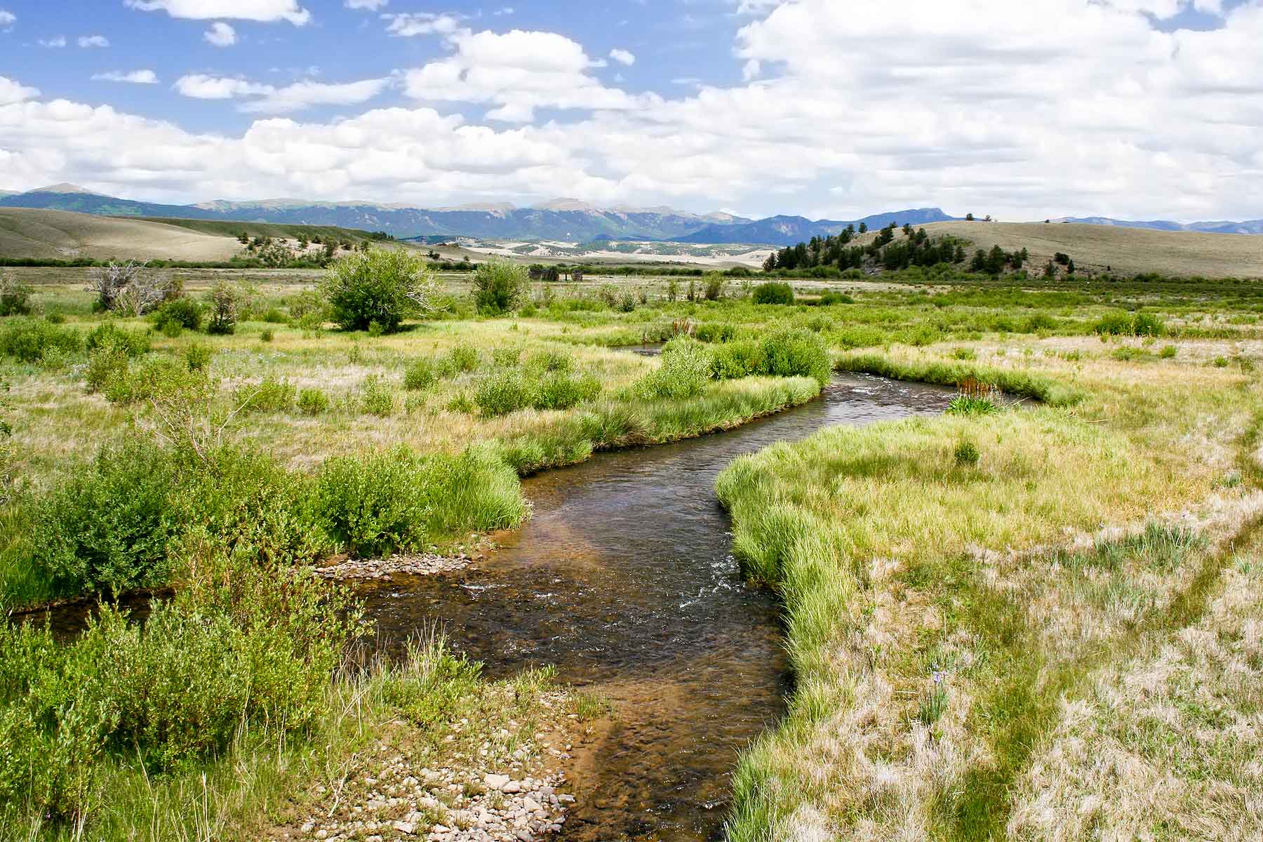 Tarryall Notch Ranch property picture 41 of 71
