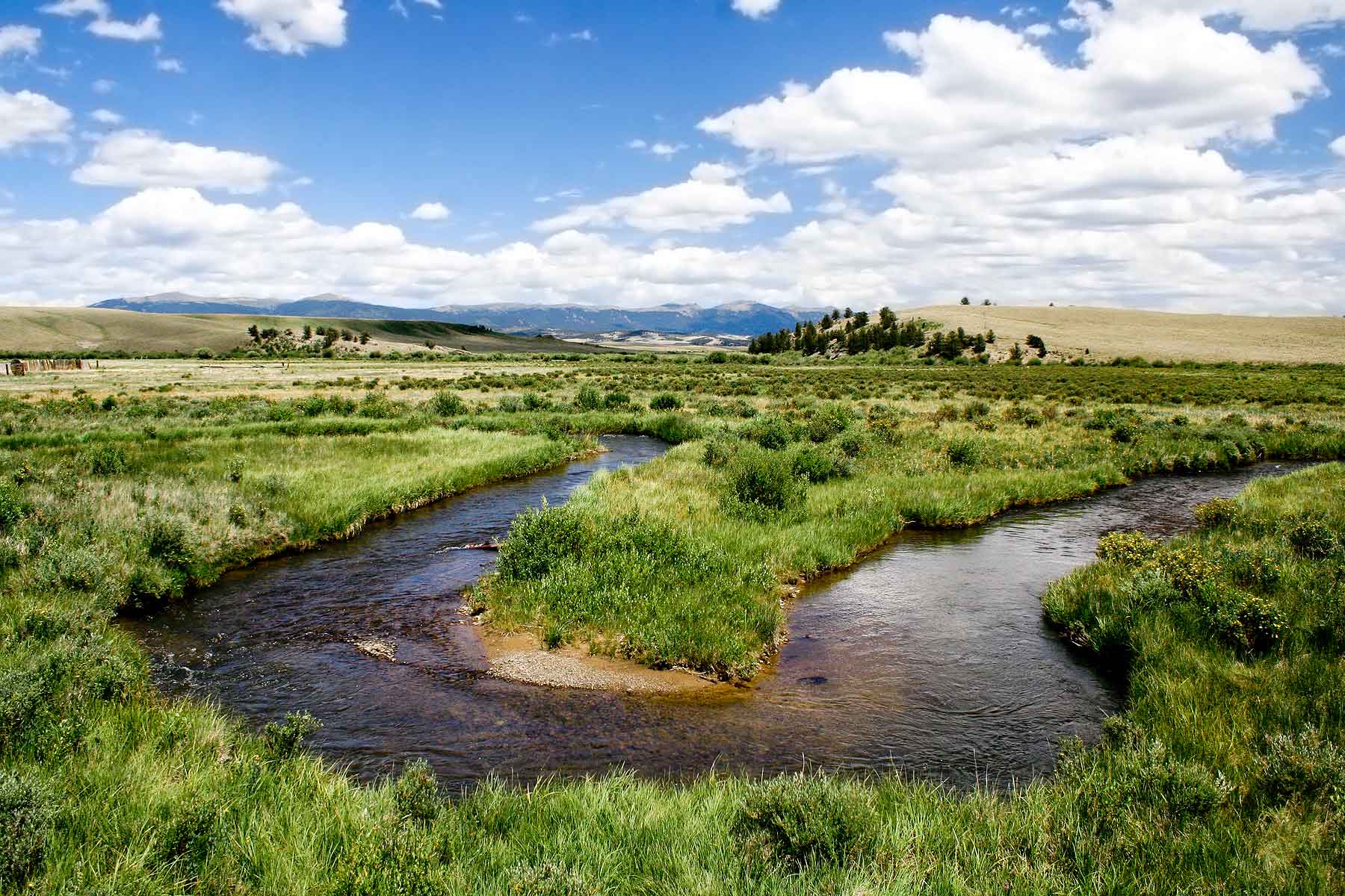 Tarryall Notch Ranch property picture 40 of 71
