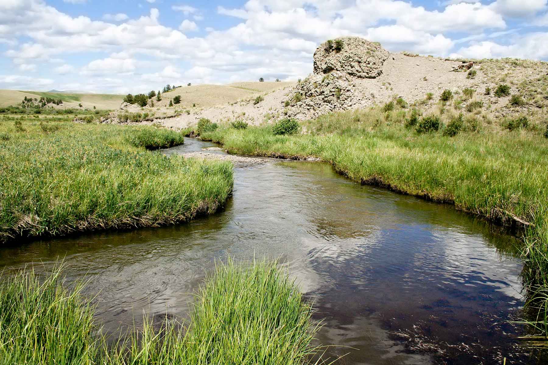 Tarryall Notch Ranch property picture 39 of 71