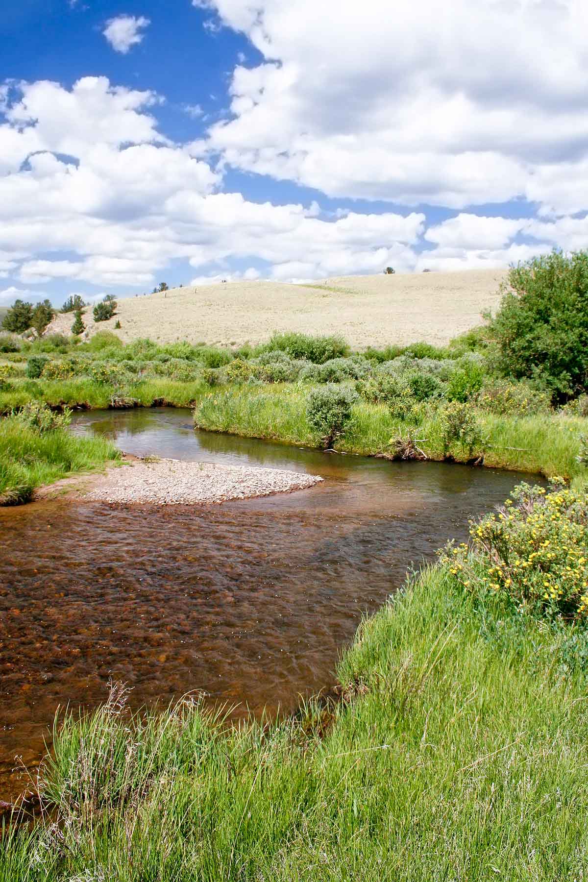 Tarryall Notch Ranch property picture 38 of 71