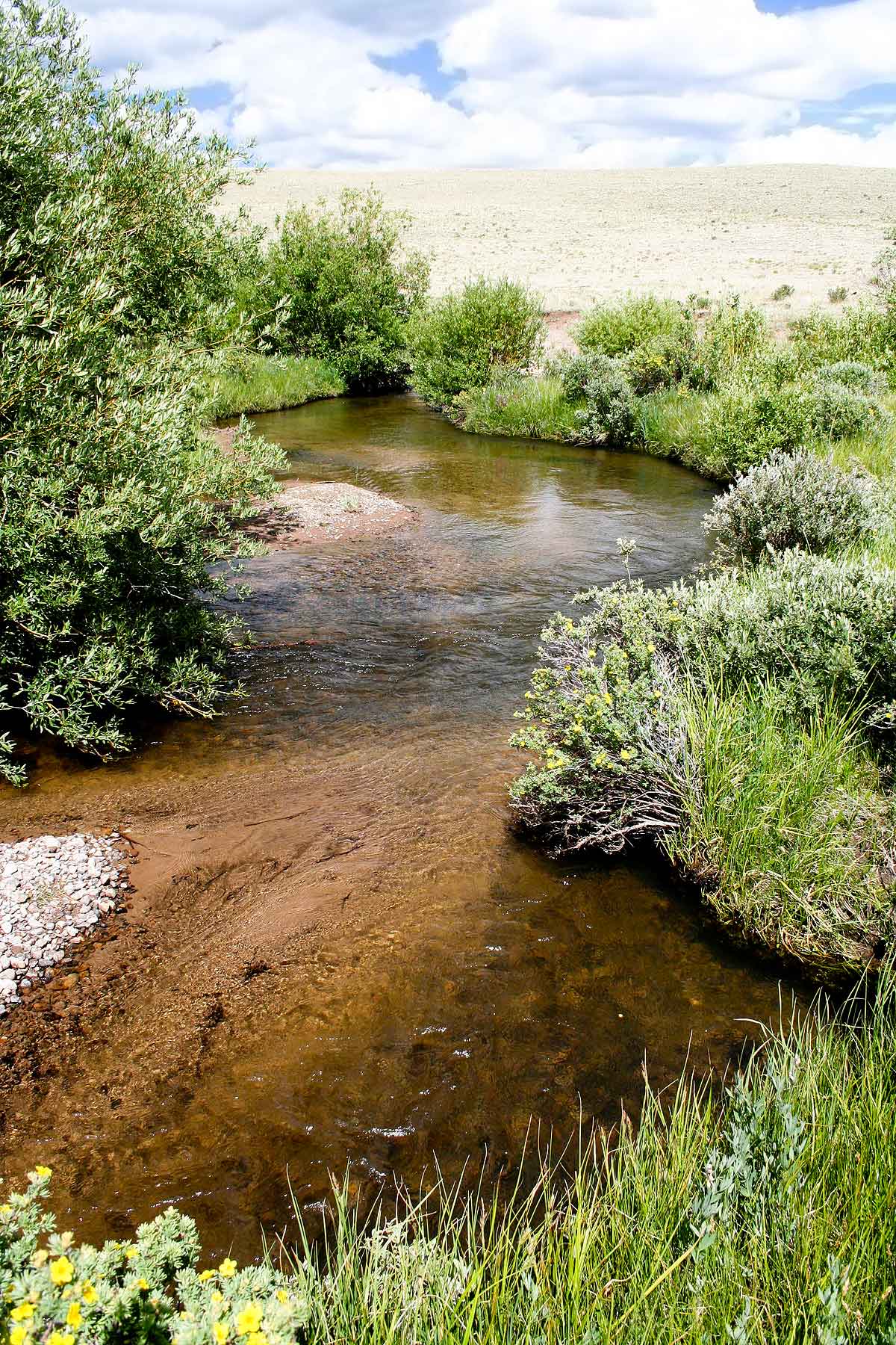Tarryall Notch Ranch property picture 37 of 71