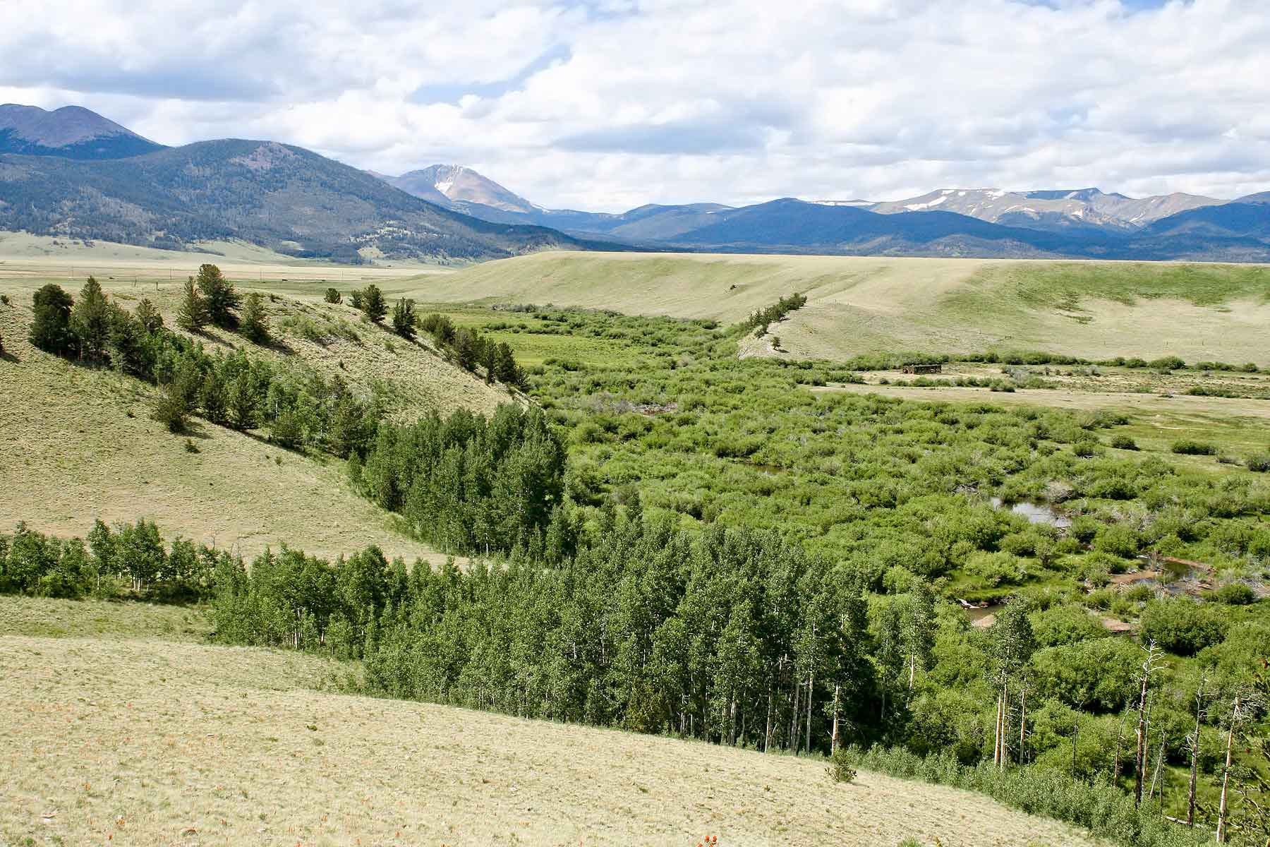 Tarryall Notch Ranch Sold Colorado Hall and Hall