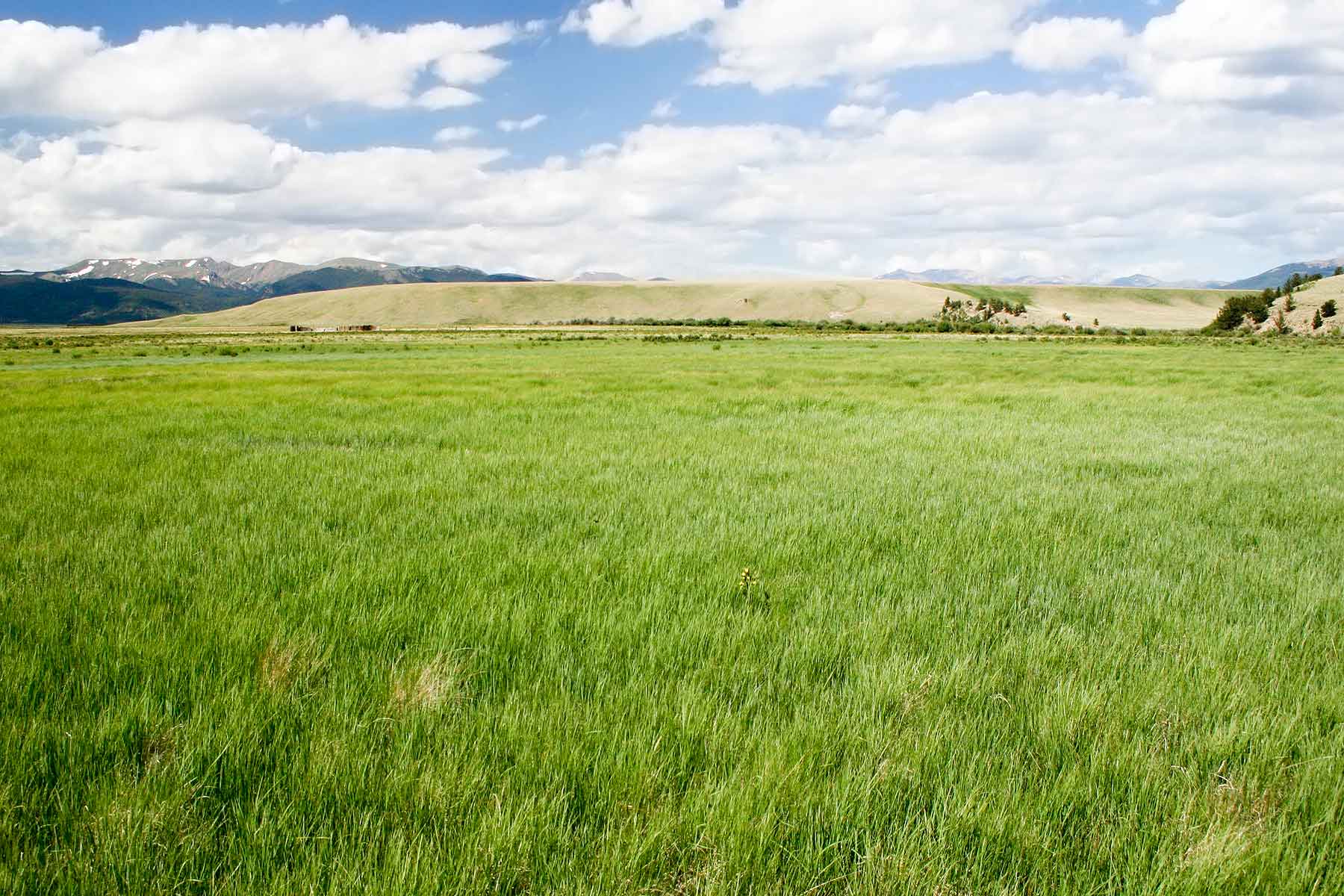 Tarryall Notch Ranch property picture 35 of 71