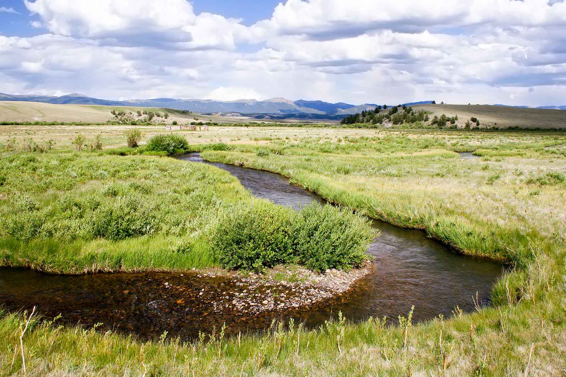 Tarryall Notch Ranch property picture 34 of 71