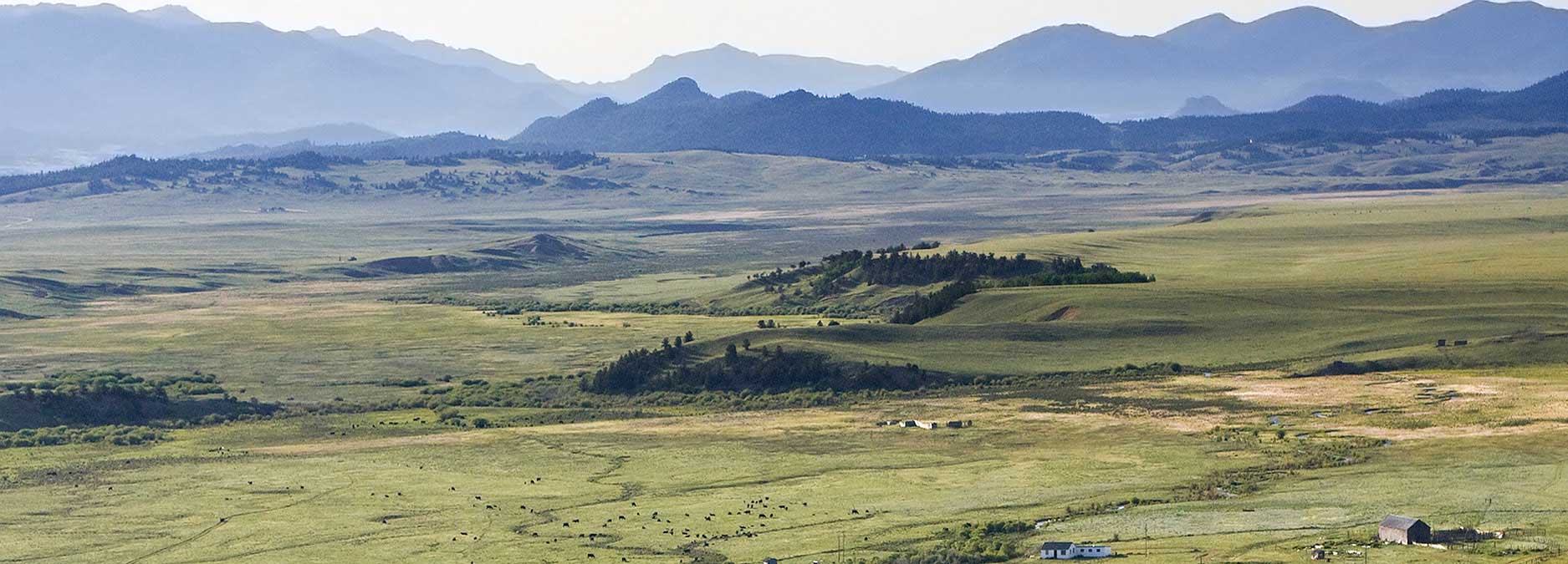 Tarryall Notch Ranch property picture 32 of 71