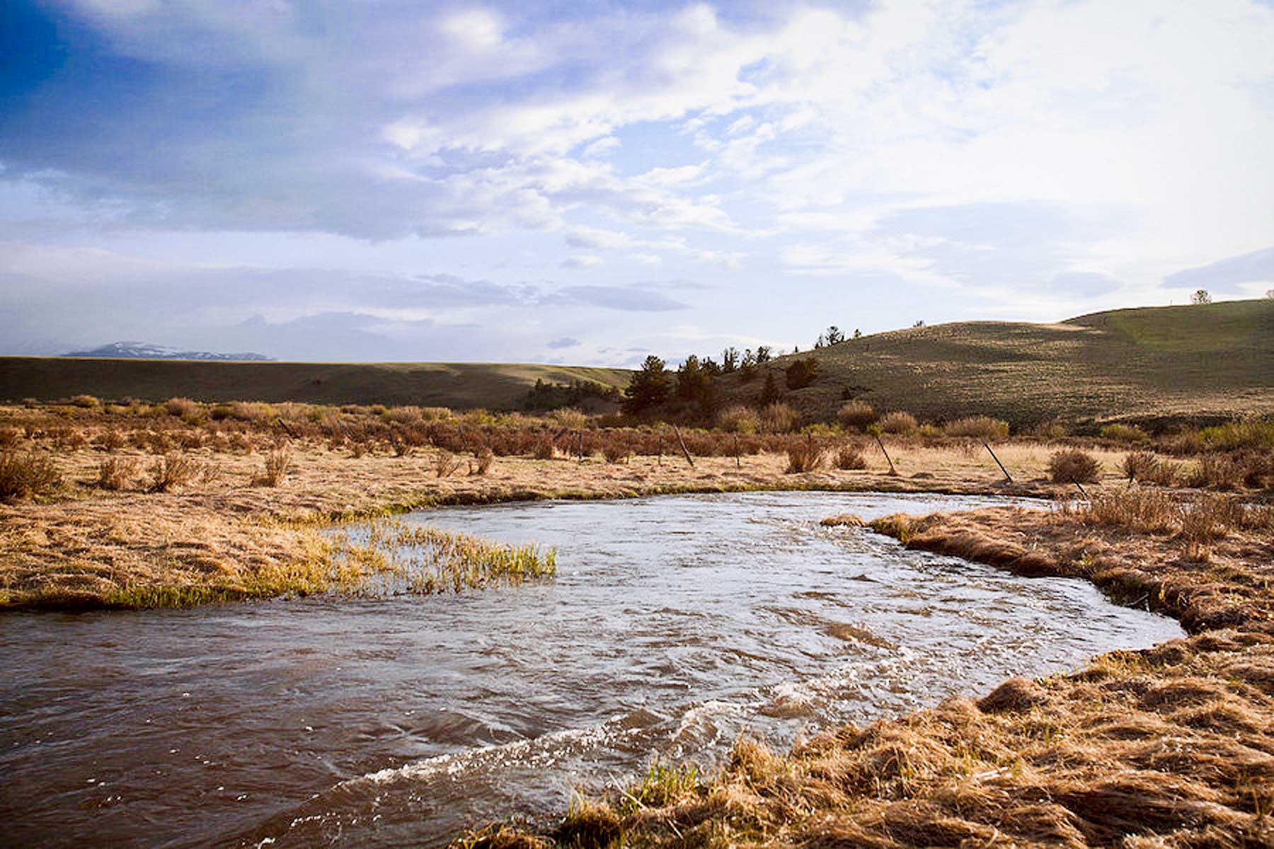Tarryall Notch Ranch property picture 19 of 71