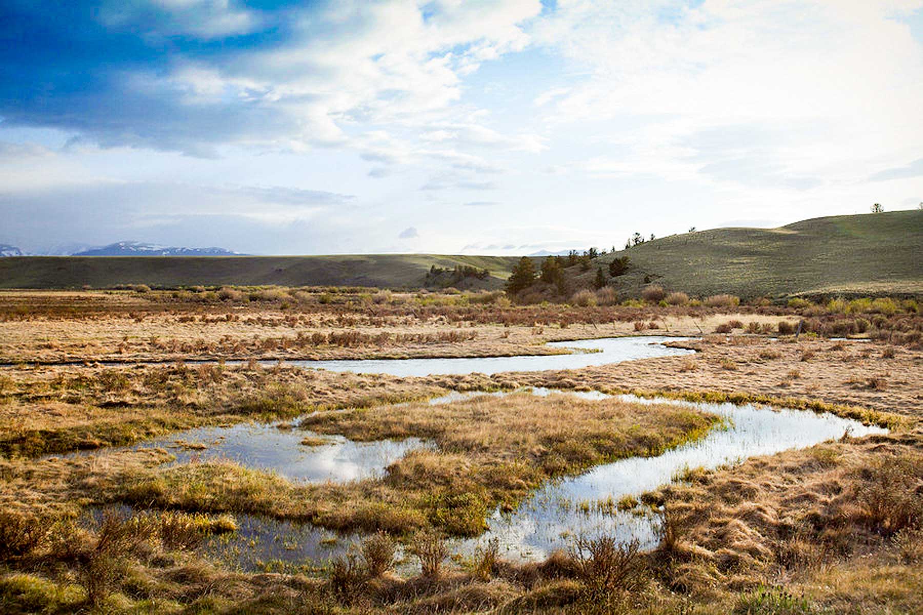 Tarryall Notch Ranch property picture 18 of 71