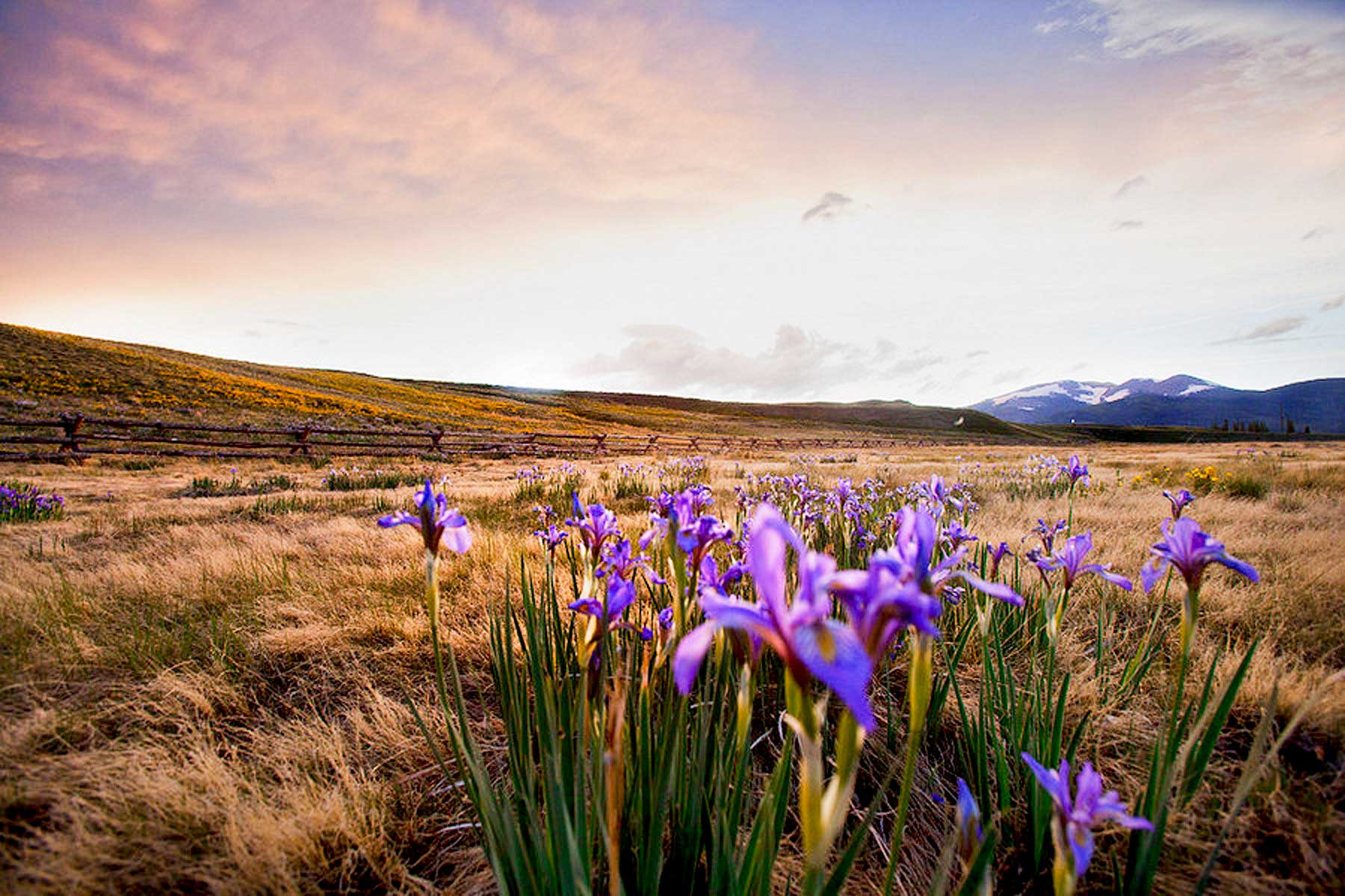Tarryall Notch Ranch property picture 14 of 71