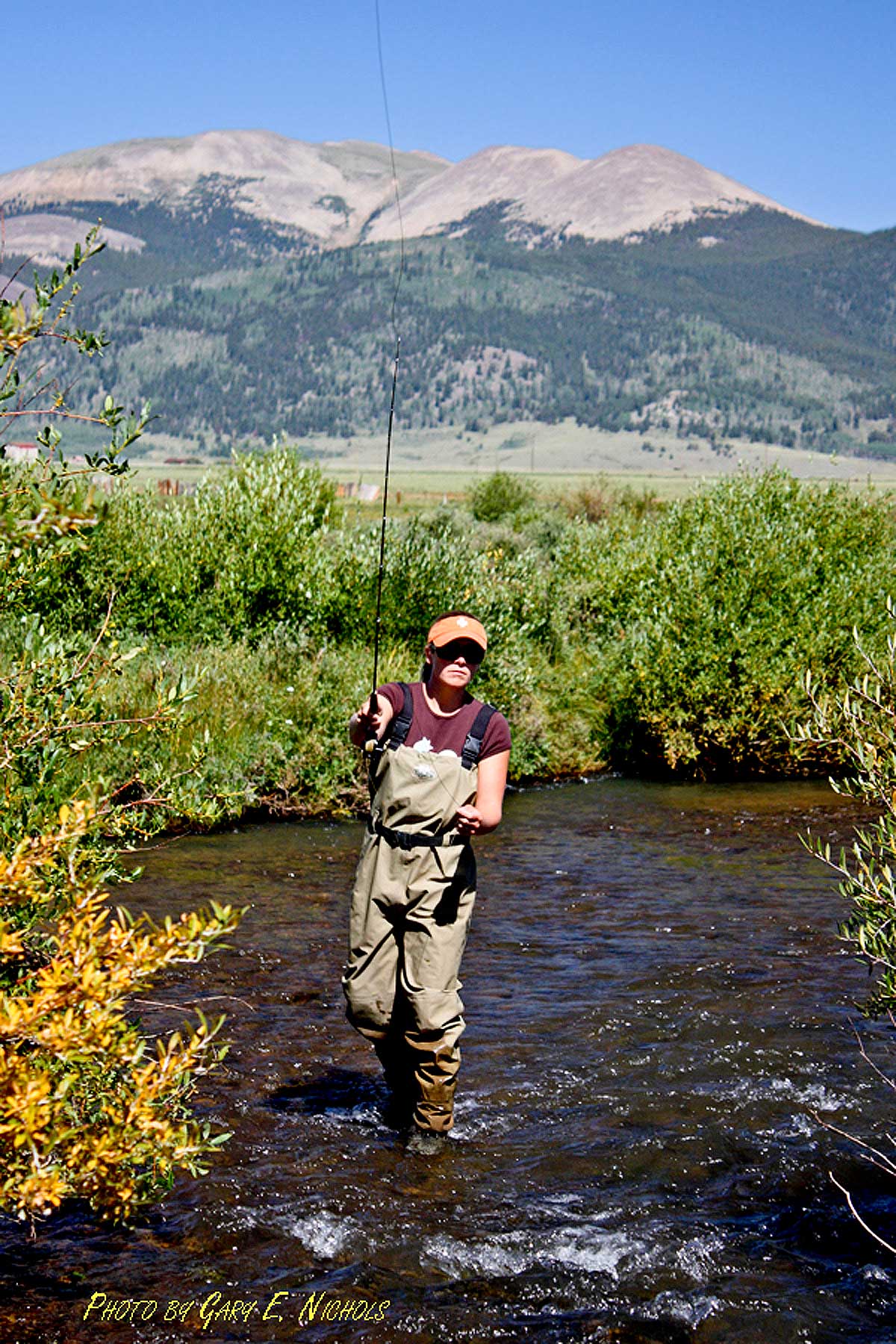 Tarryall Notch Ranch property picture 11 of 71