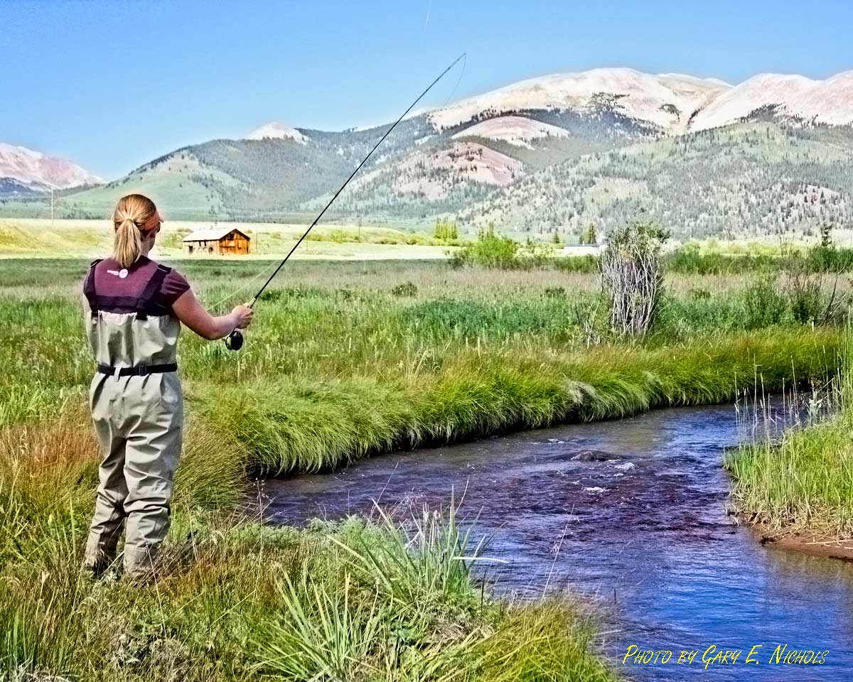 Tarryall Notch Ranch property picture 10 of 71