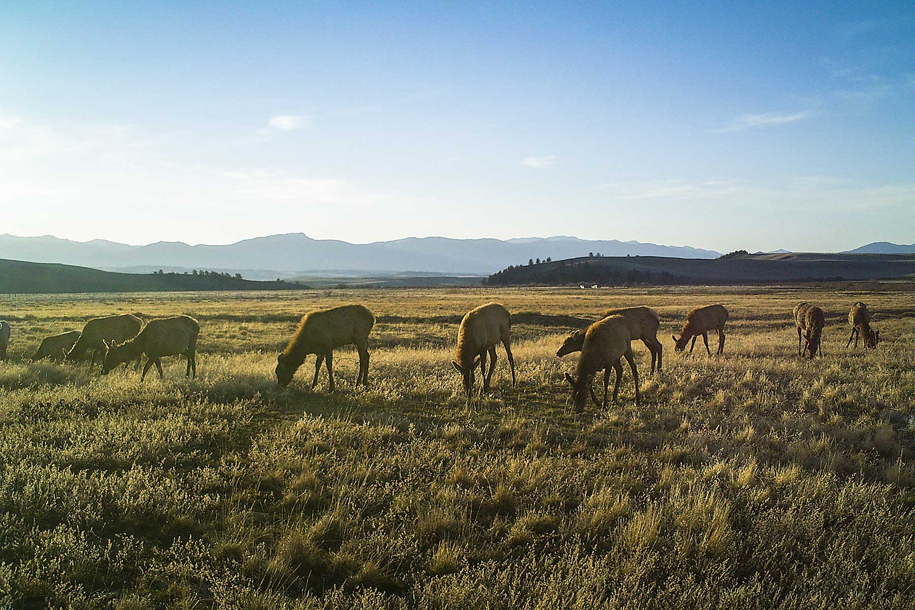 Tarryall Notch Ranch property picture 9 of 71