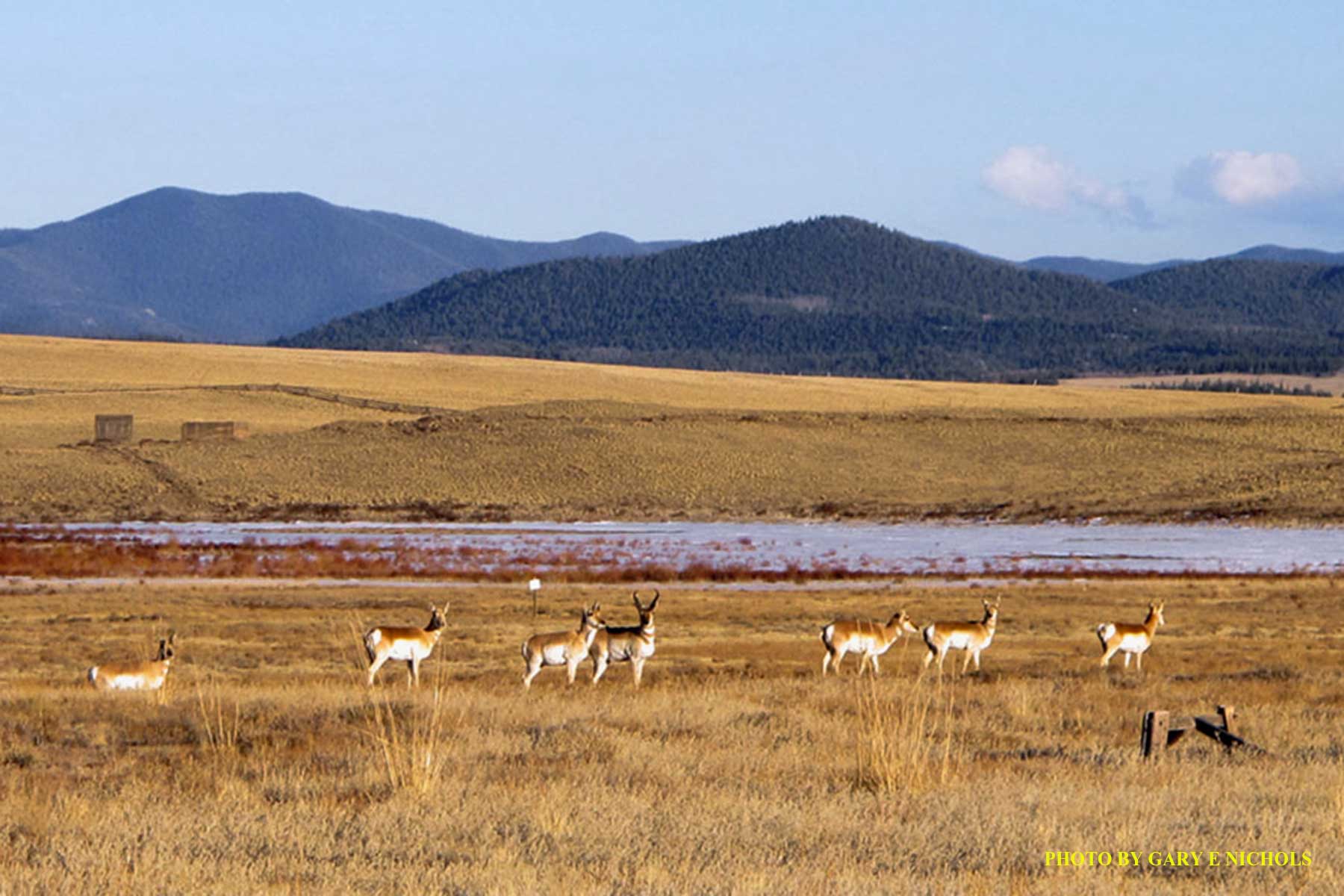 Tarryall Notch Ranch property picture 8 of 71