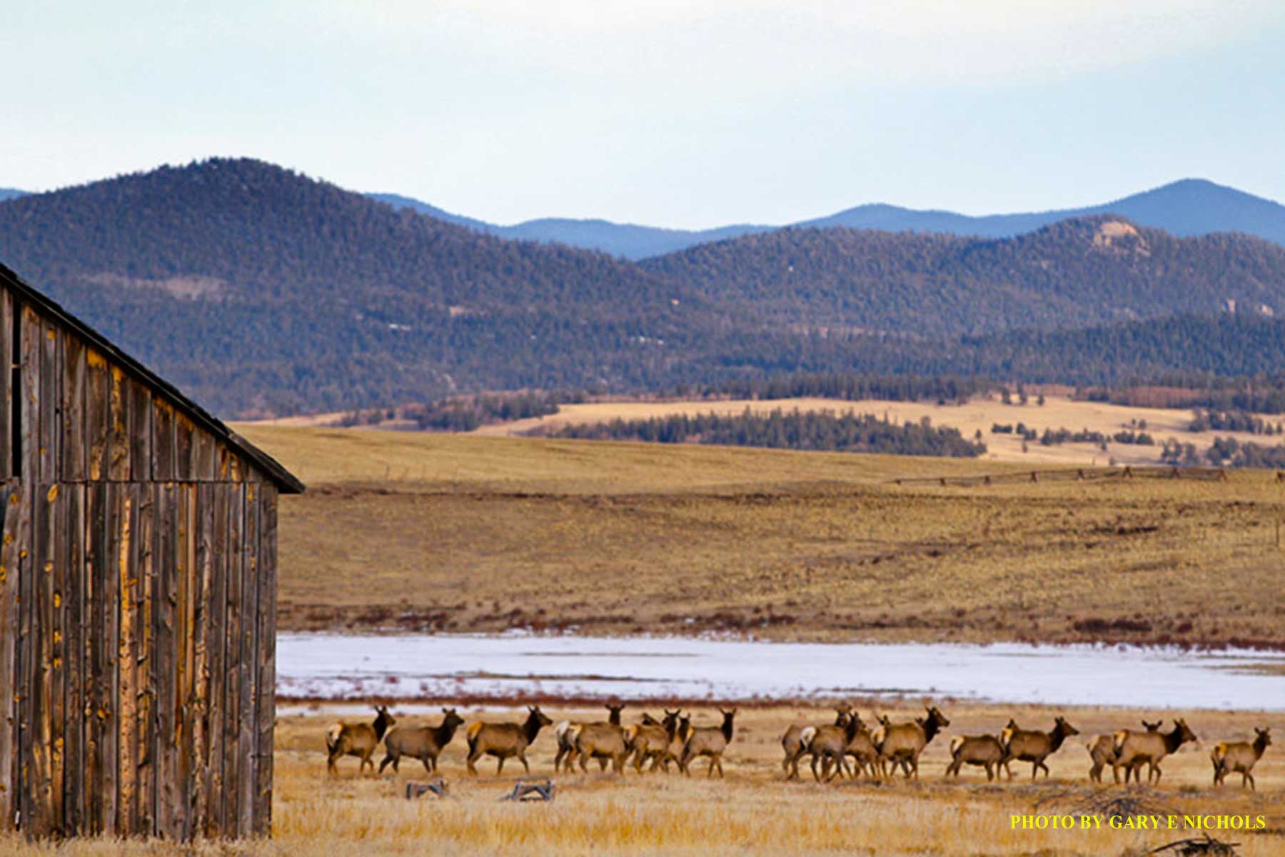 Tarryall Notch Ranch property picture 7 of 71