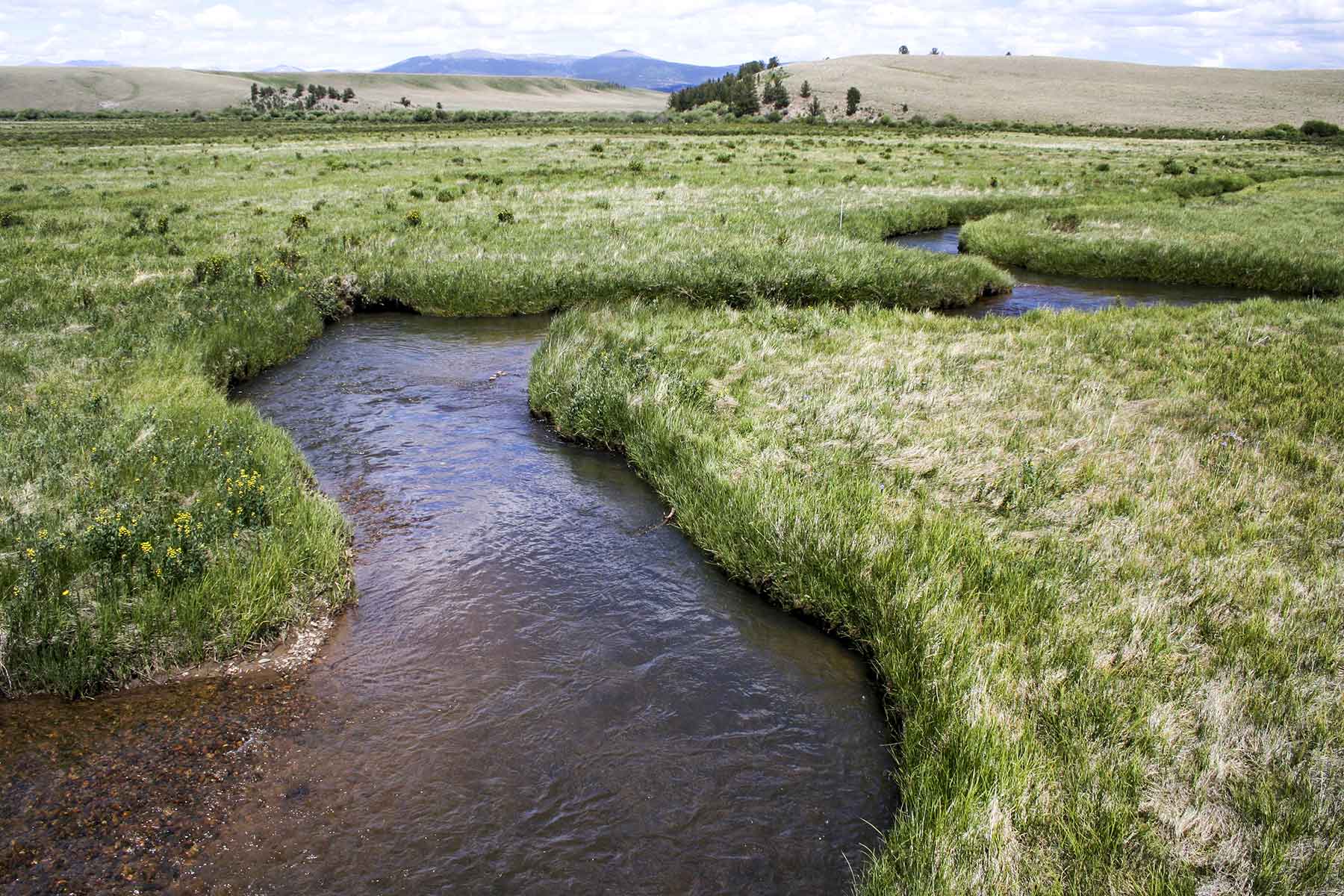 Tarryall Notch Ranch property picture 68 of 71