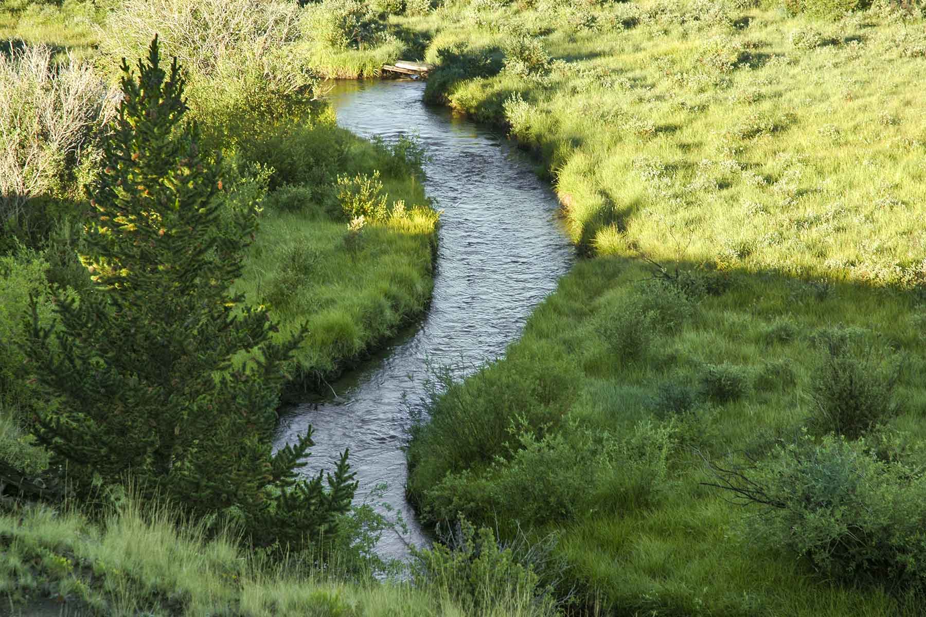 Tarryall Notch Ranch property picture 66 of 71