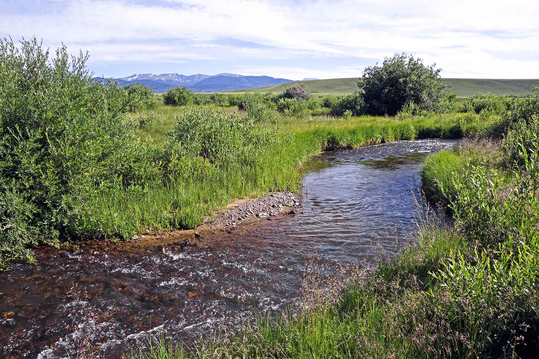 Tarryall Notch Ranch property picture 65 of 71