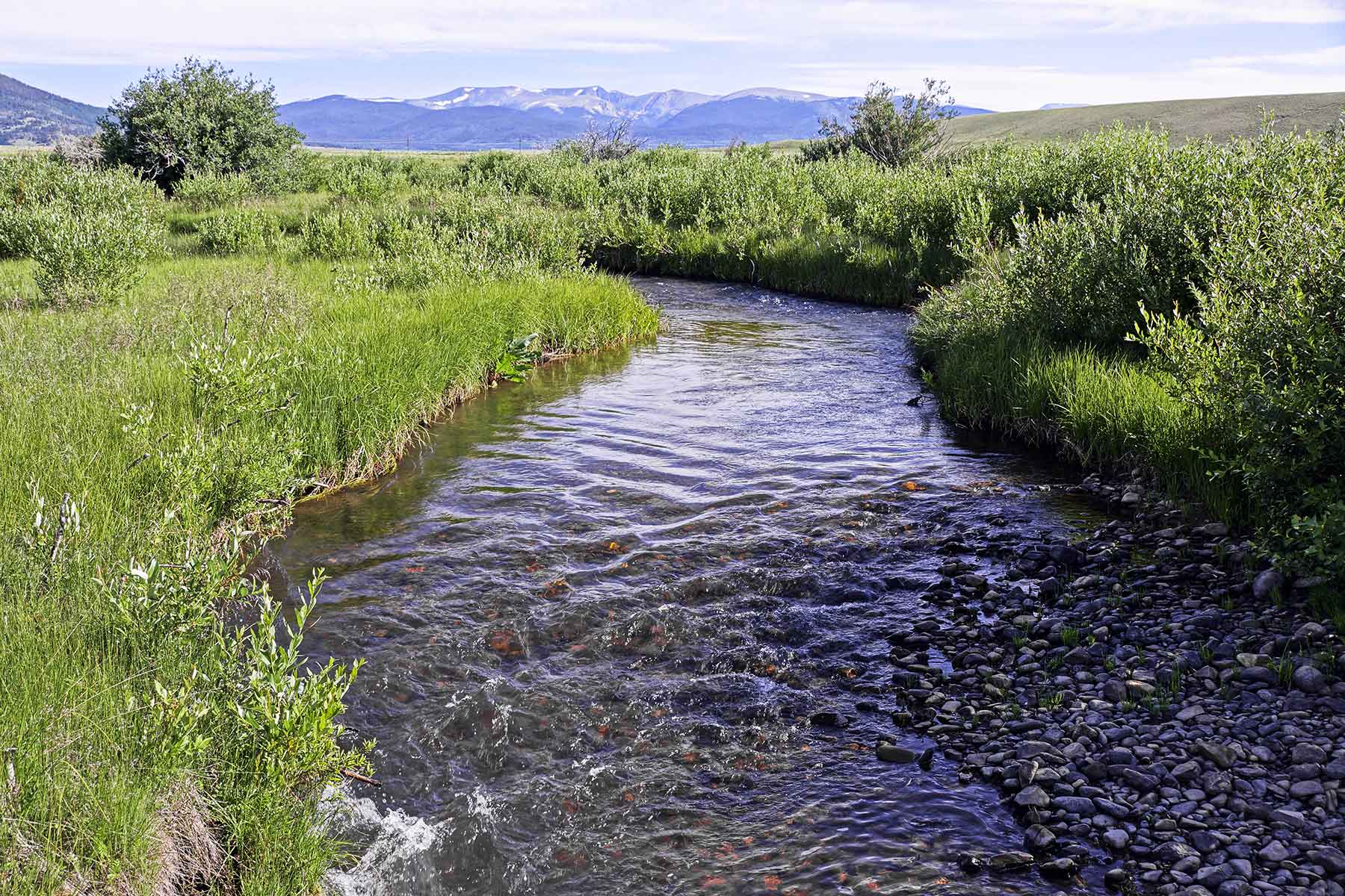 Tarryall Notch Ranch property picture 64 of 71