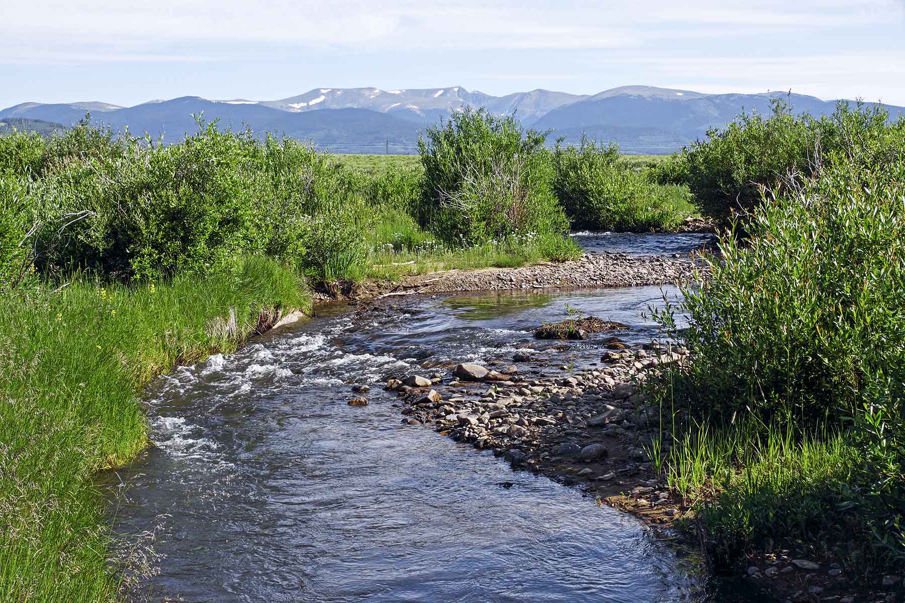 Tarryall Notch Ranch property picture 63 of 71