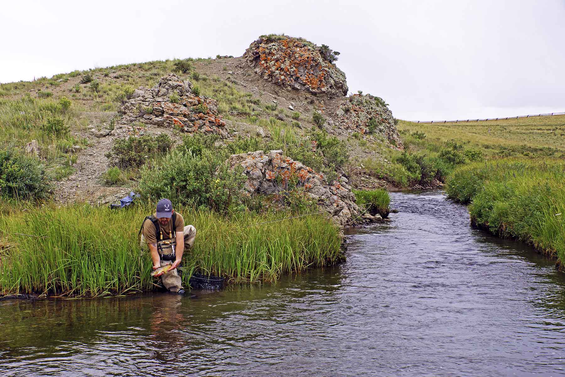 Tarryall Notch Ranch property picture 61 of 71