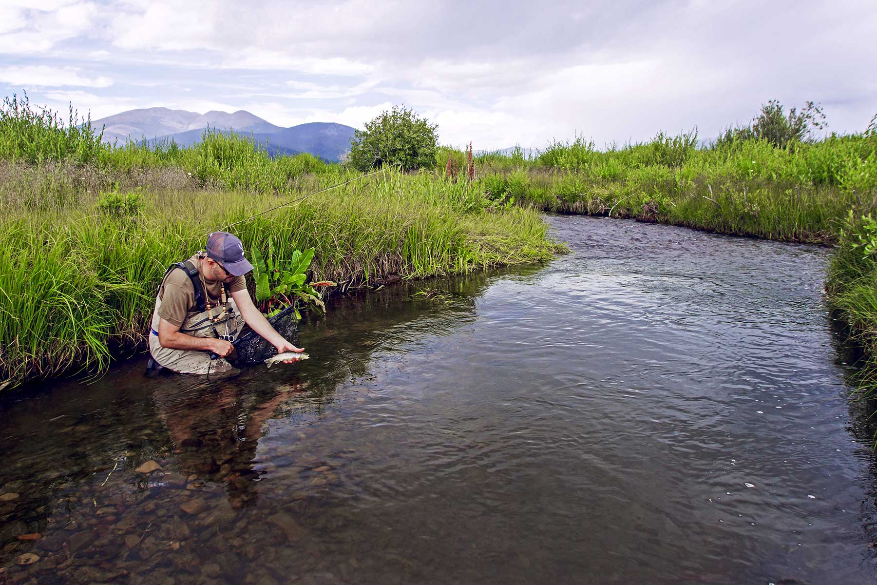 Tarryall Notch Ranch property picture 59 of 71