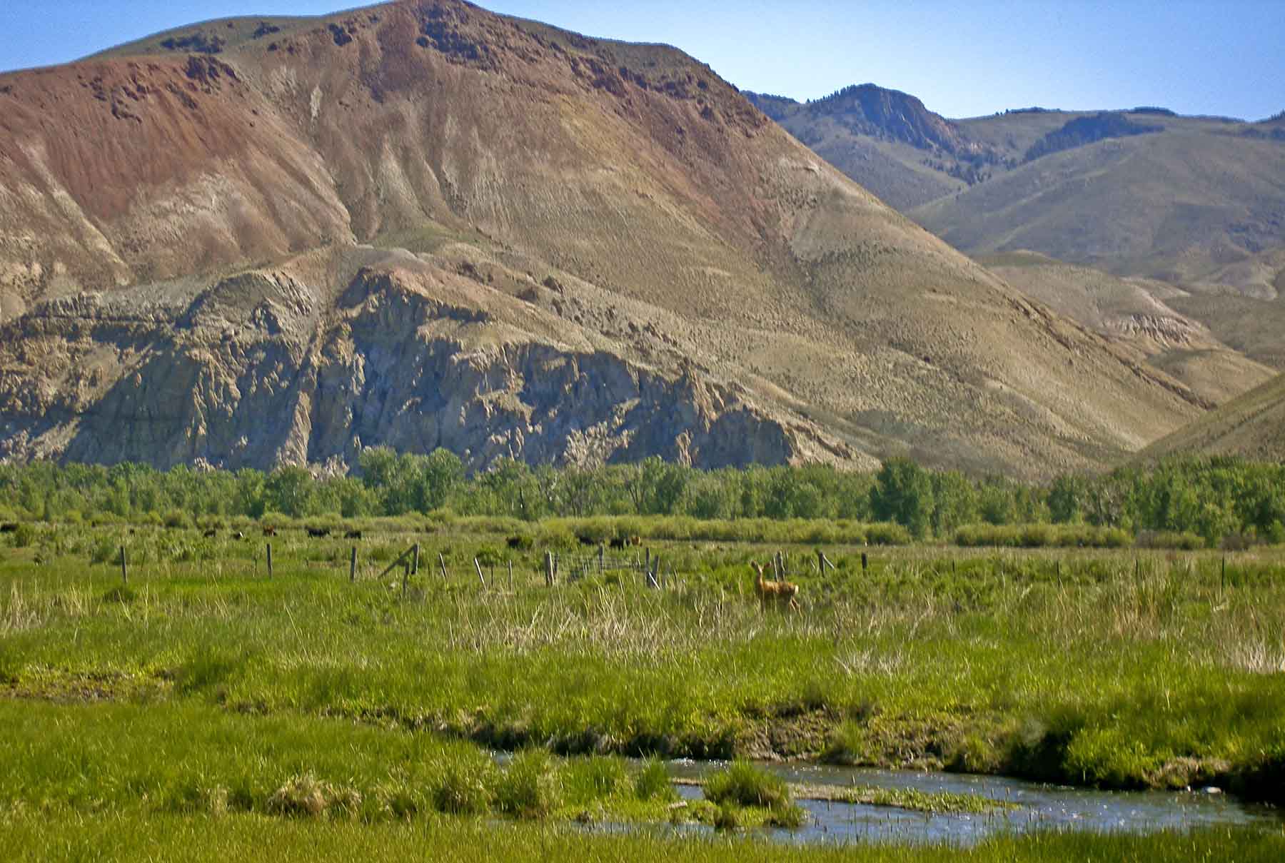 TJ Ranch property picture 4 of 9