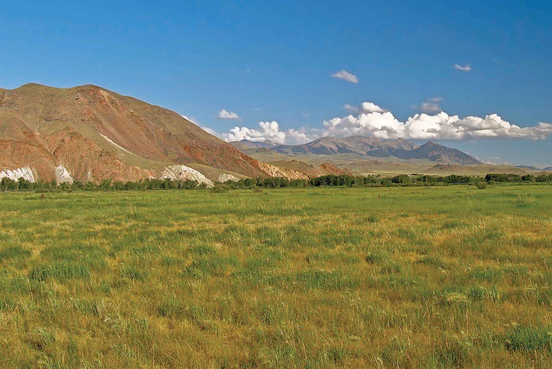 TJ Ranch property picture 5 of 9