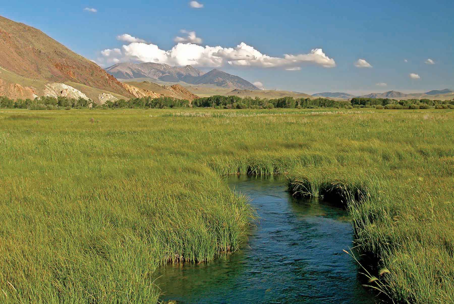 TJ Ranch property picture 6 of 9