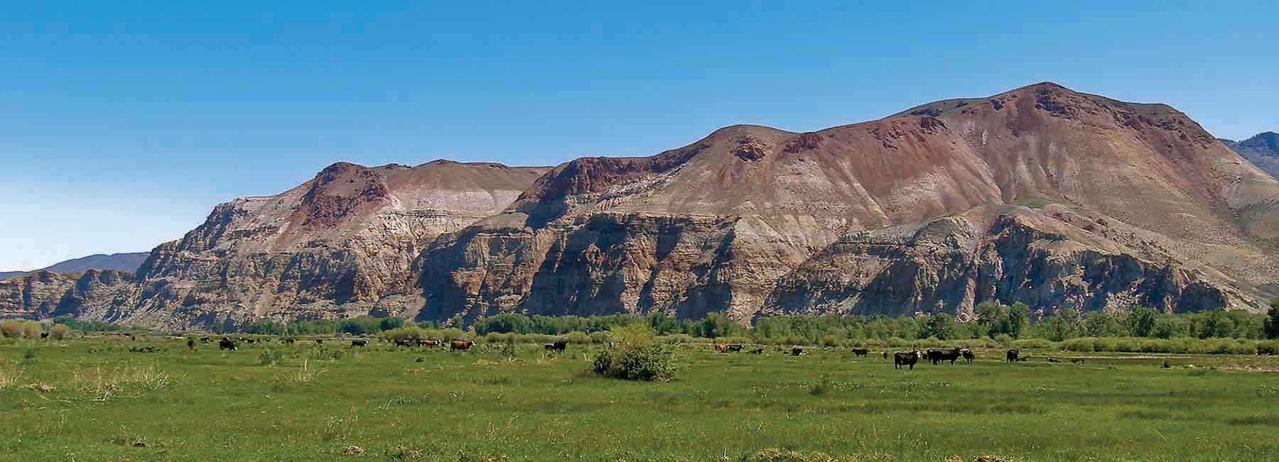 TJ Ranch property picture 8 of 9