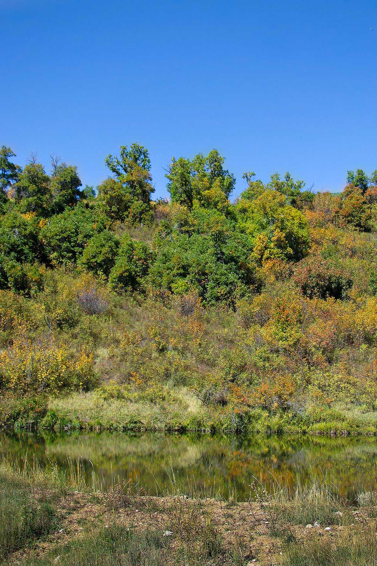 Slate Creek Ranch property picture 22 of 64