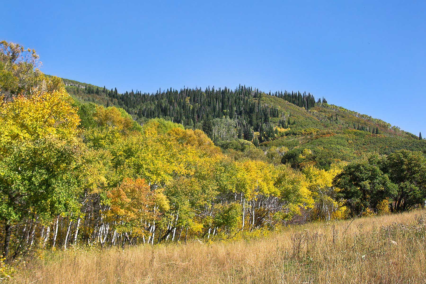 Slate Creek Ranch property picture 19 of 64