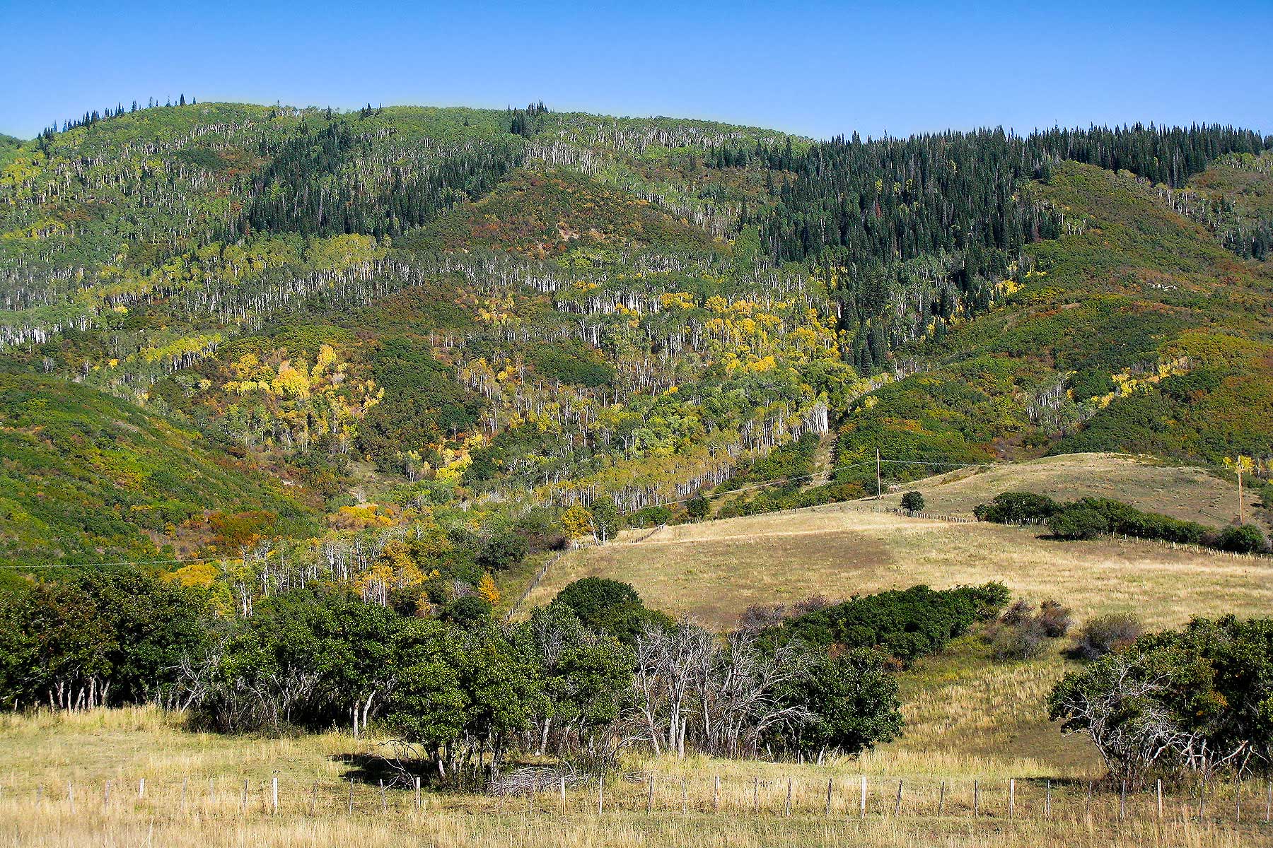 Slate Creek Ranch Sold Colorado Hall and Hall