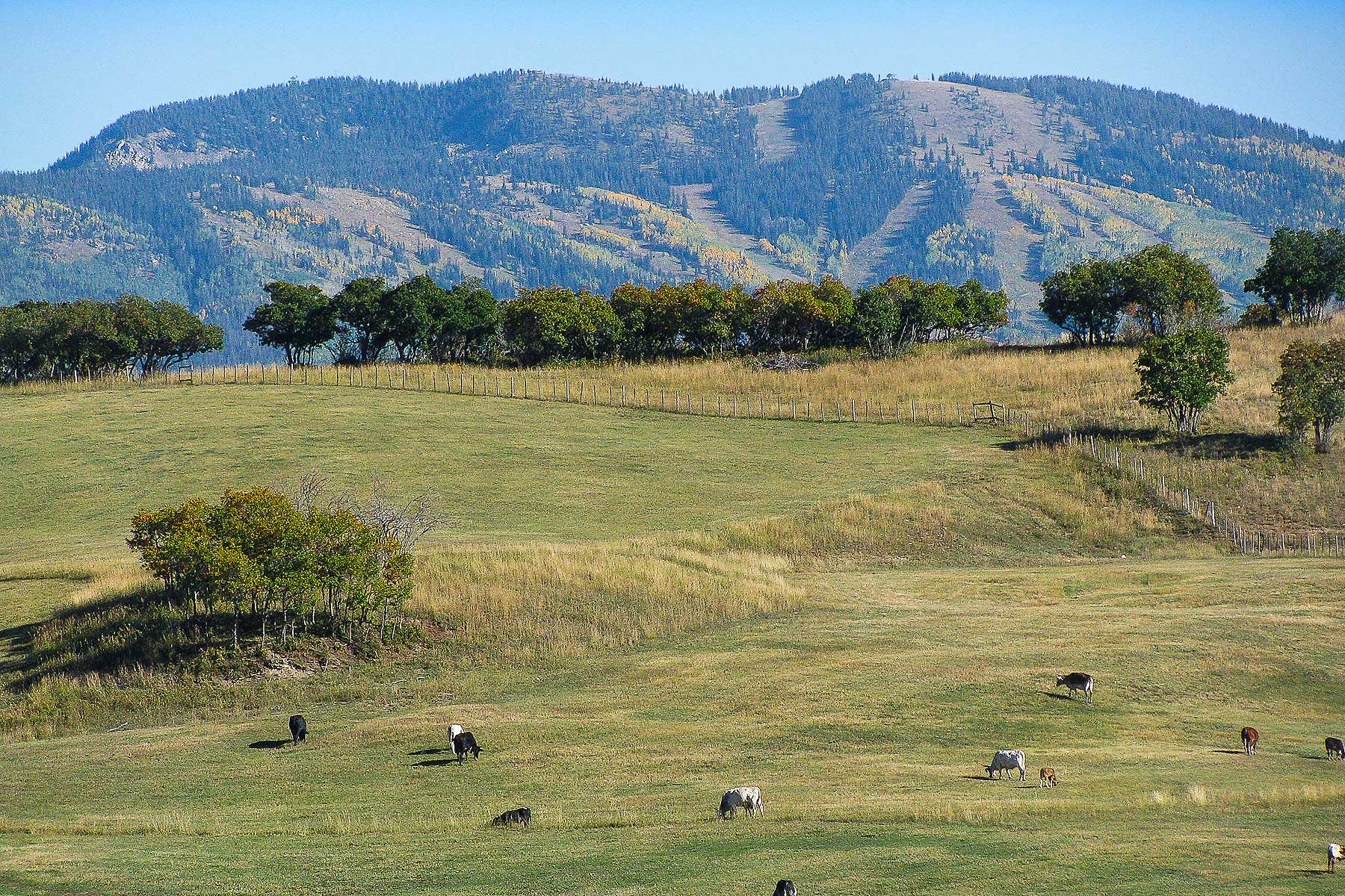 Slate Creek Ranch Sold Colorado Hall and Hall
