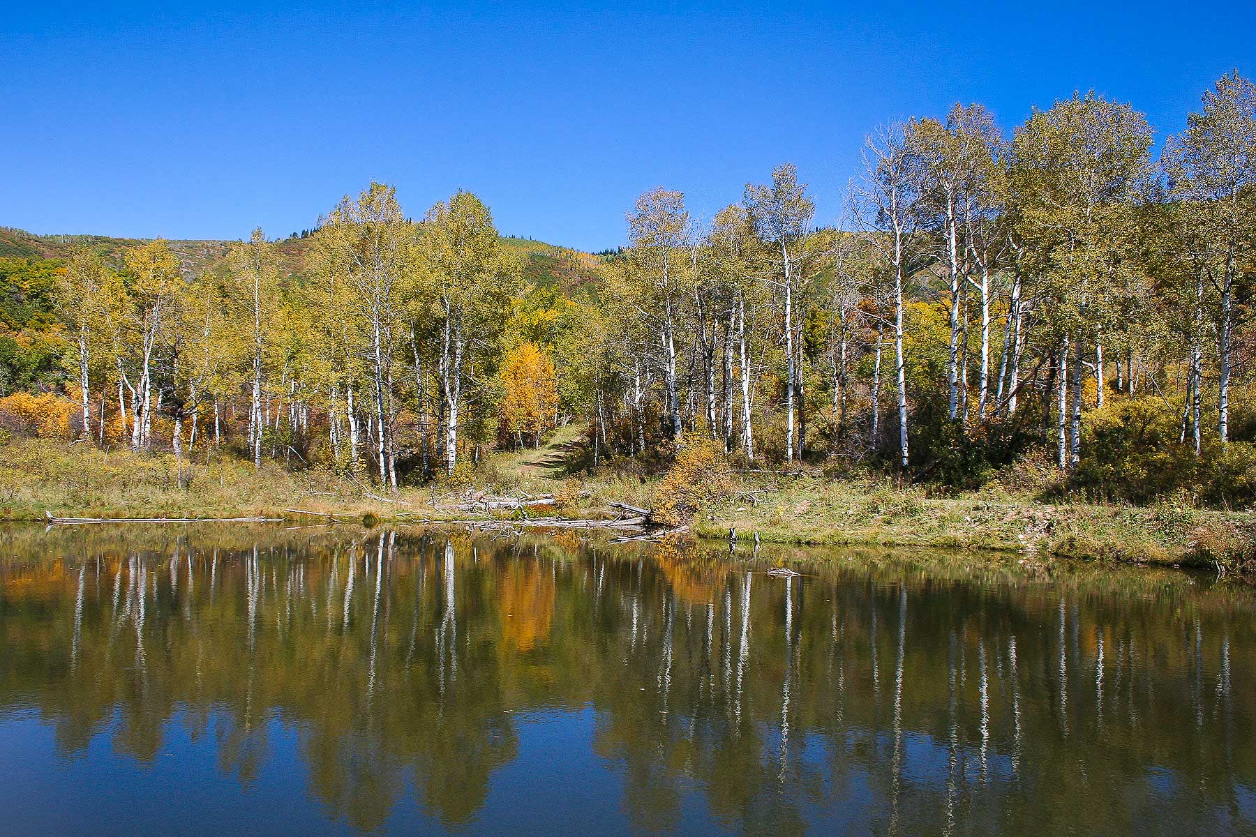 Slate Creek Ranch property picture 18 of 64