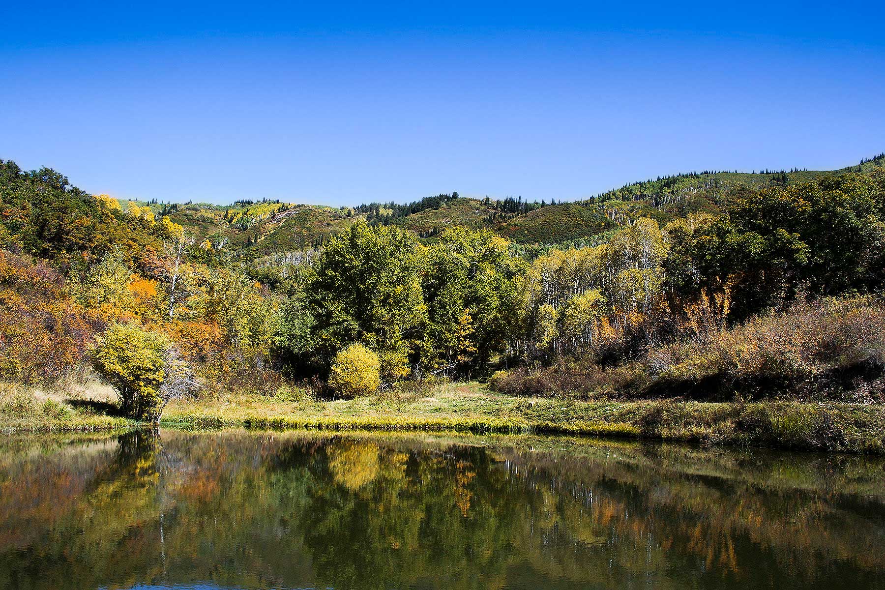 Slate Creek Ranch property picture 11 of 64