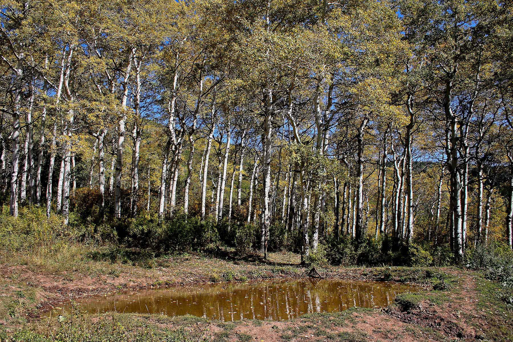 Slate Creek Ranch property picture 44 of 64