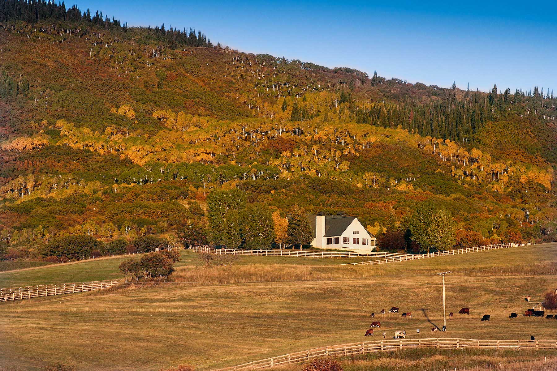 Slate Creek Ranch property picture 6 of 64