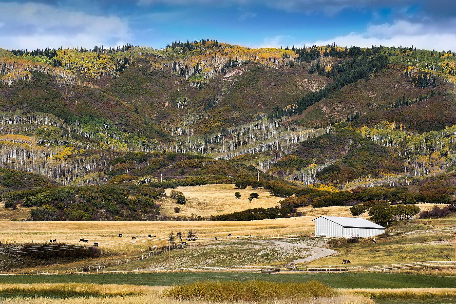 Slate Creek Ranch Sold Colorado Hall and Hall