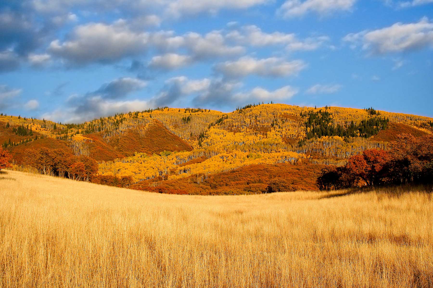 Slate Creek Ranch Sold Colorado Hall and Hall