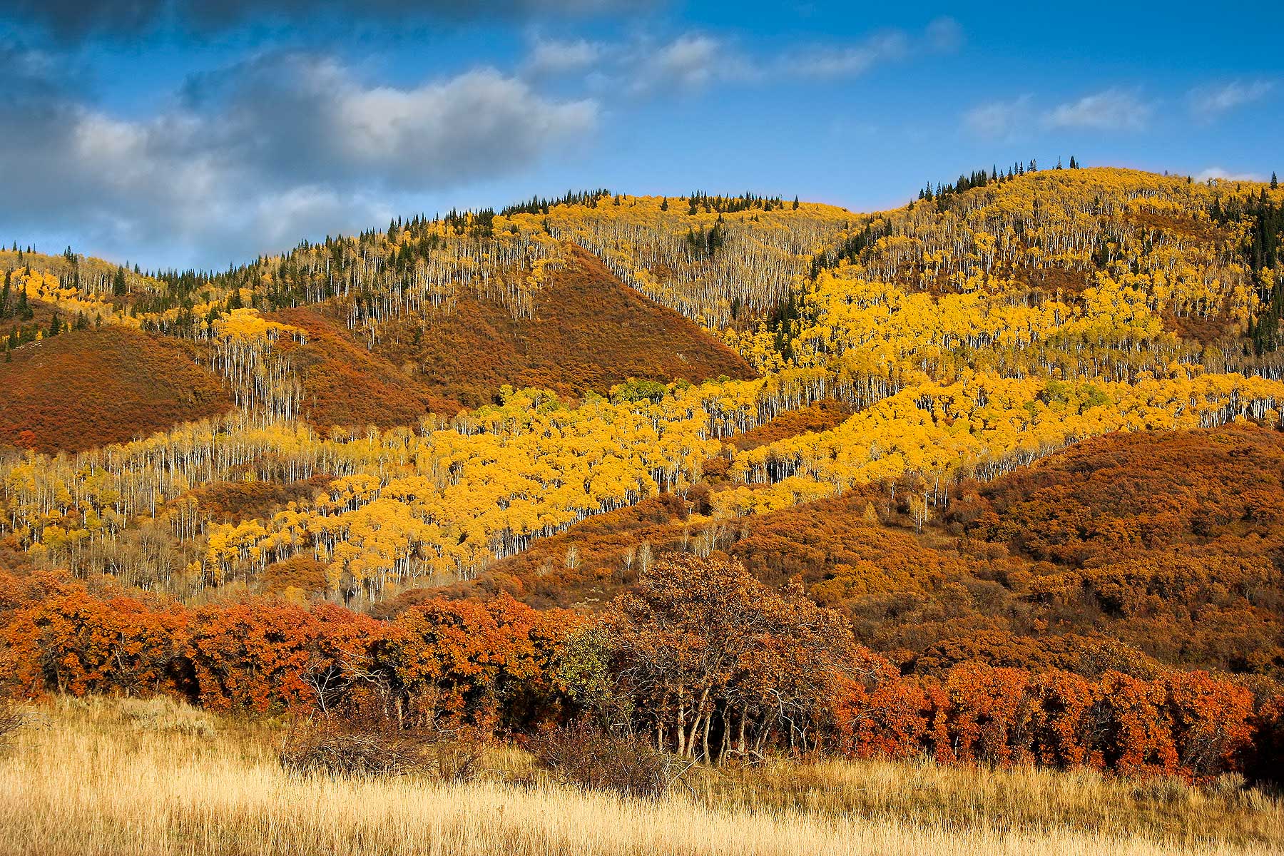 Slate Creek Ranch property picture 42 of 64