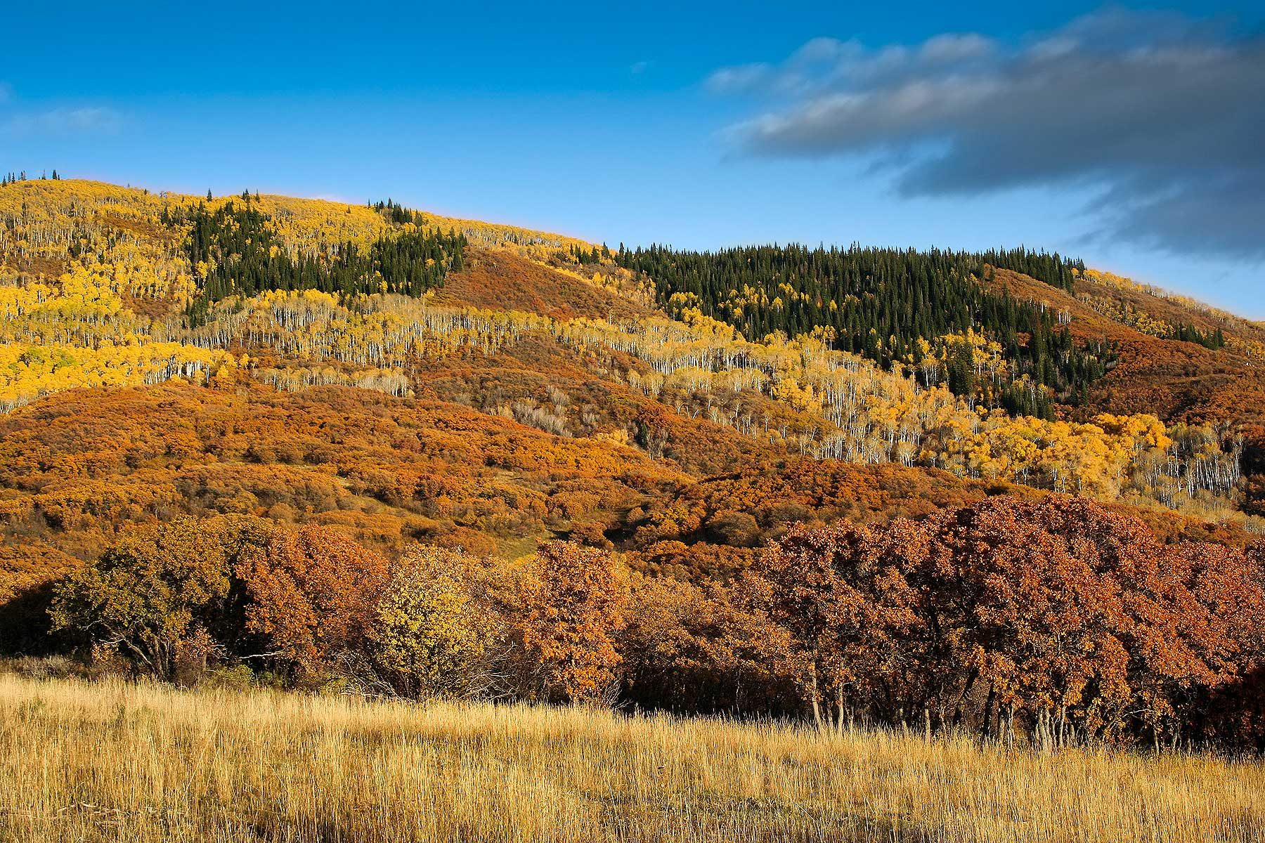 Slate Creek Ranch property picture 58 of 64