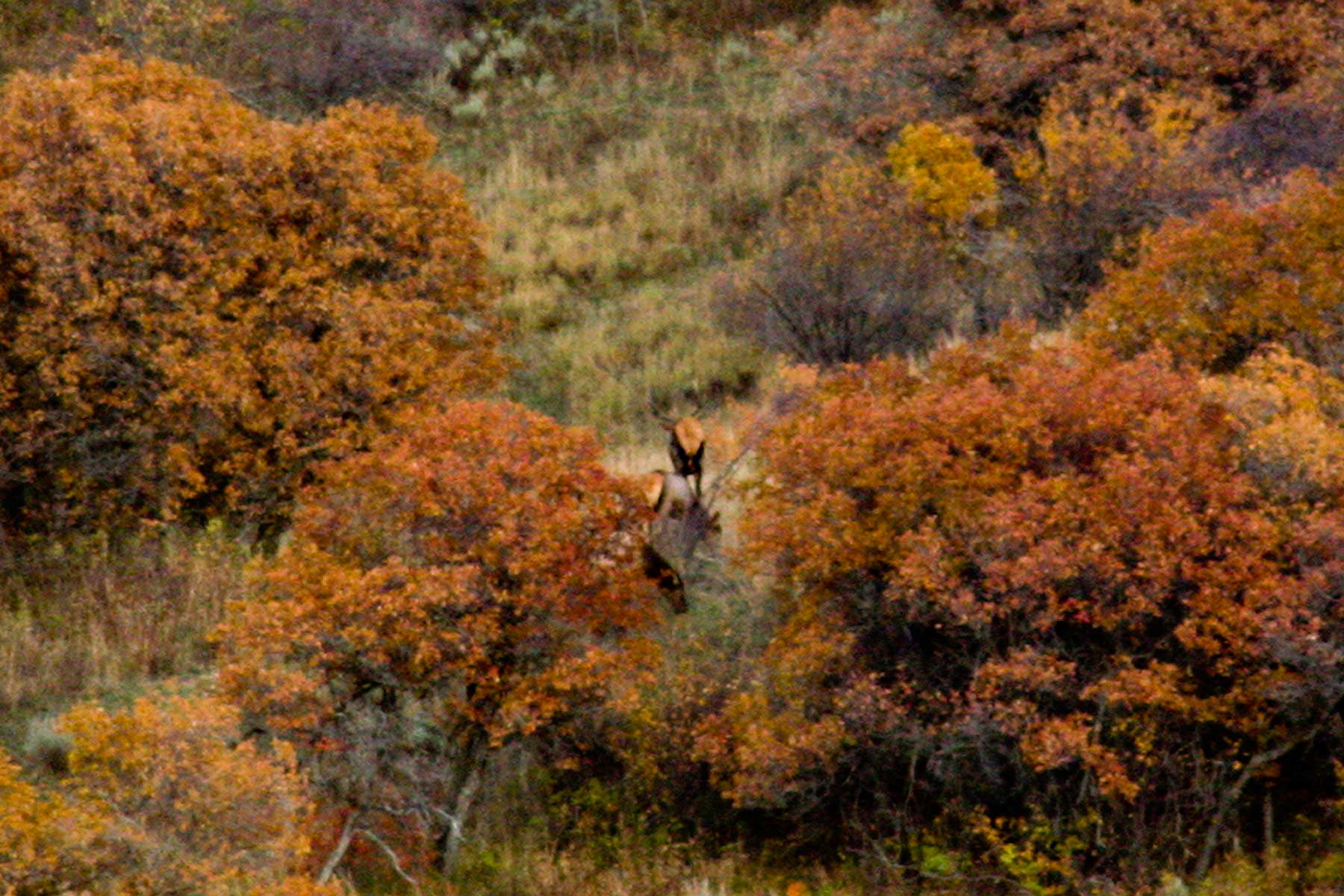 Slate Creek Ranch property picture 50 of 64