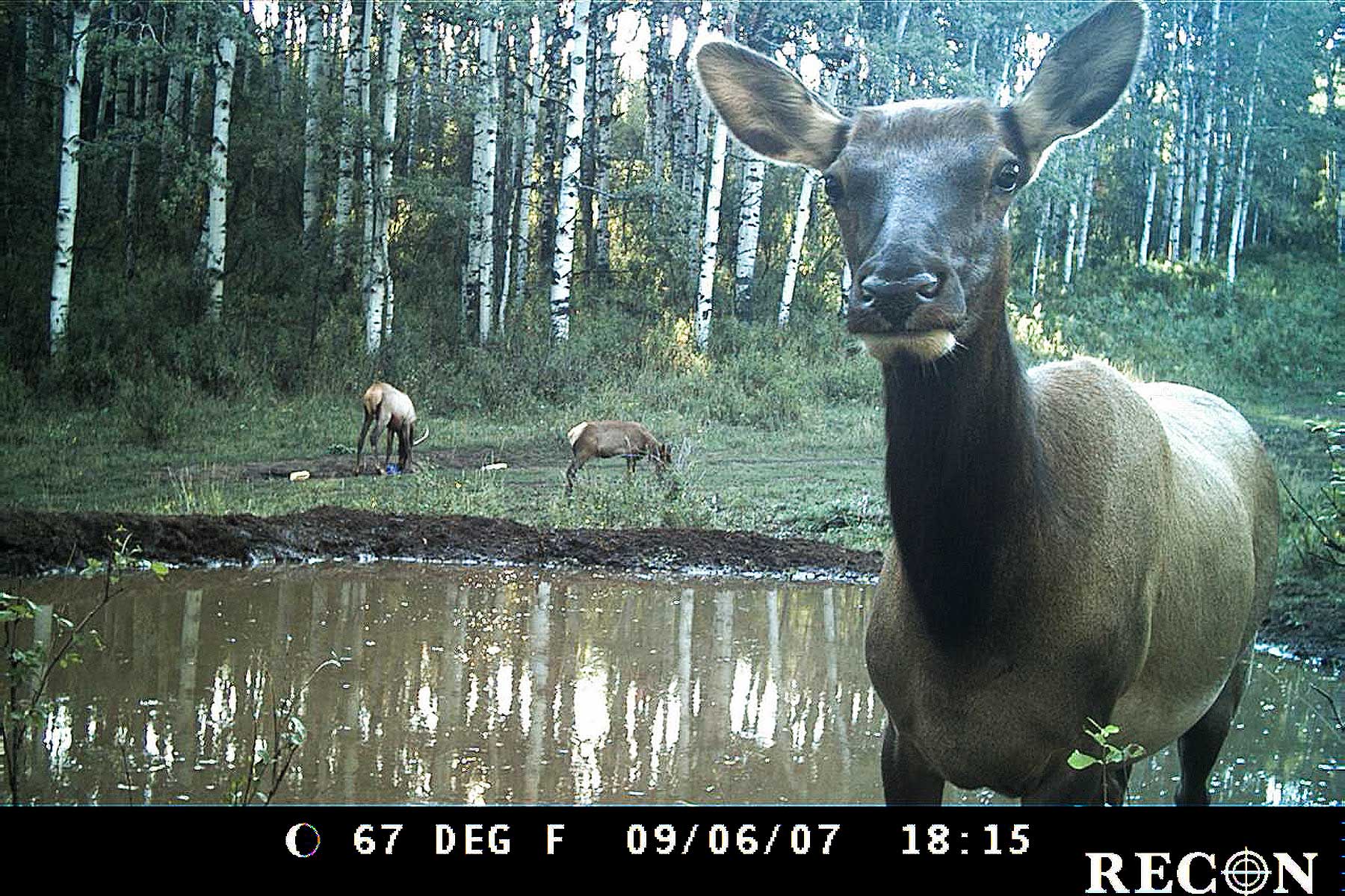 Slate Creek Ranch property picture 63 of 64