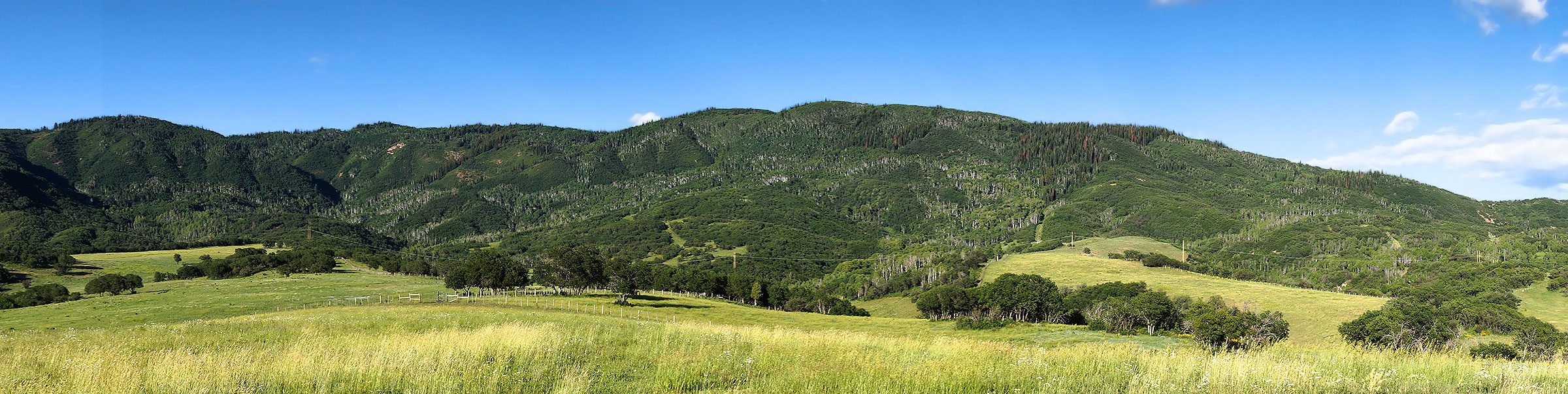 Slate Creek Ranch Sold Colorado Hall and Hall