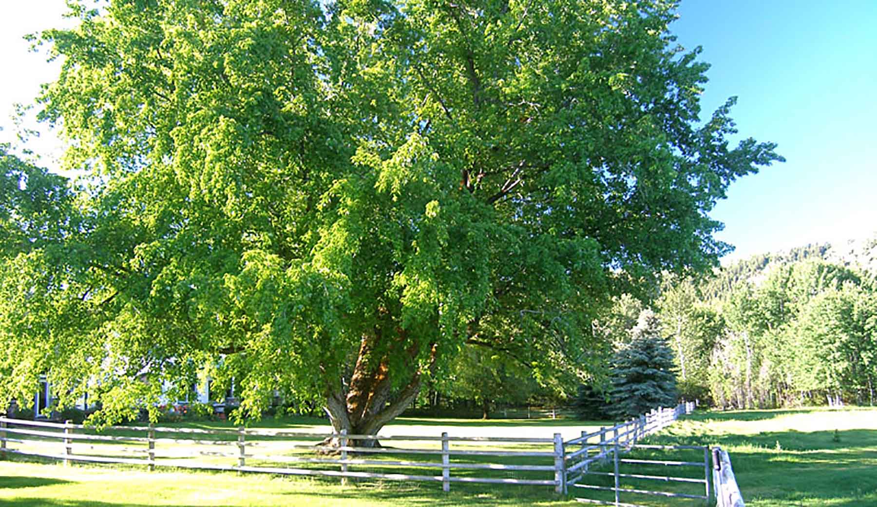 Chapman's Cloverly Ranch property picture 9 of 10