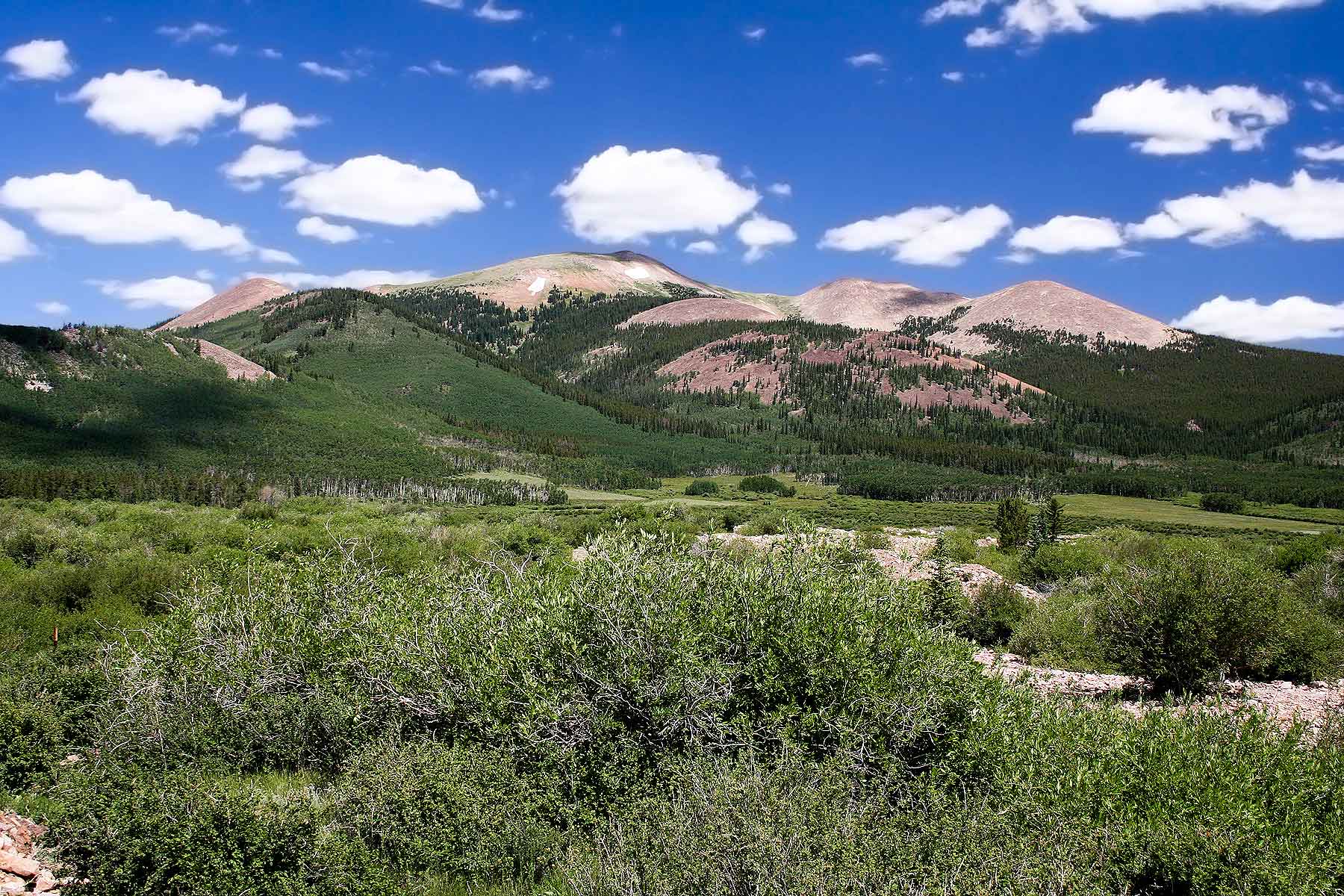 Tarryall Meadows Ranch Sold Colorado Hall and Hall