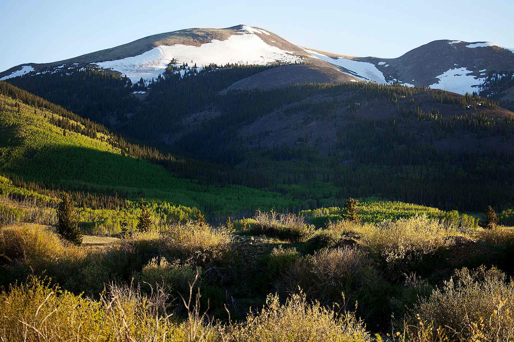 Tarryall Meadows Ranch Sold Colorado Hall and Hall