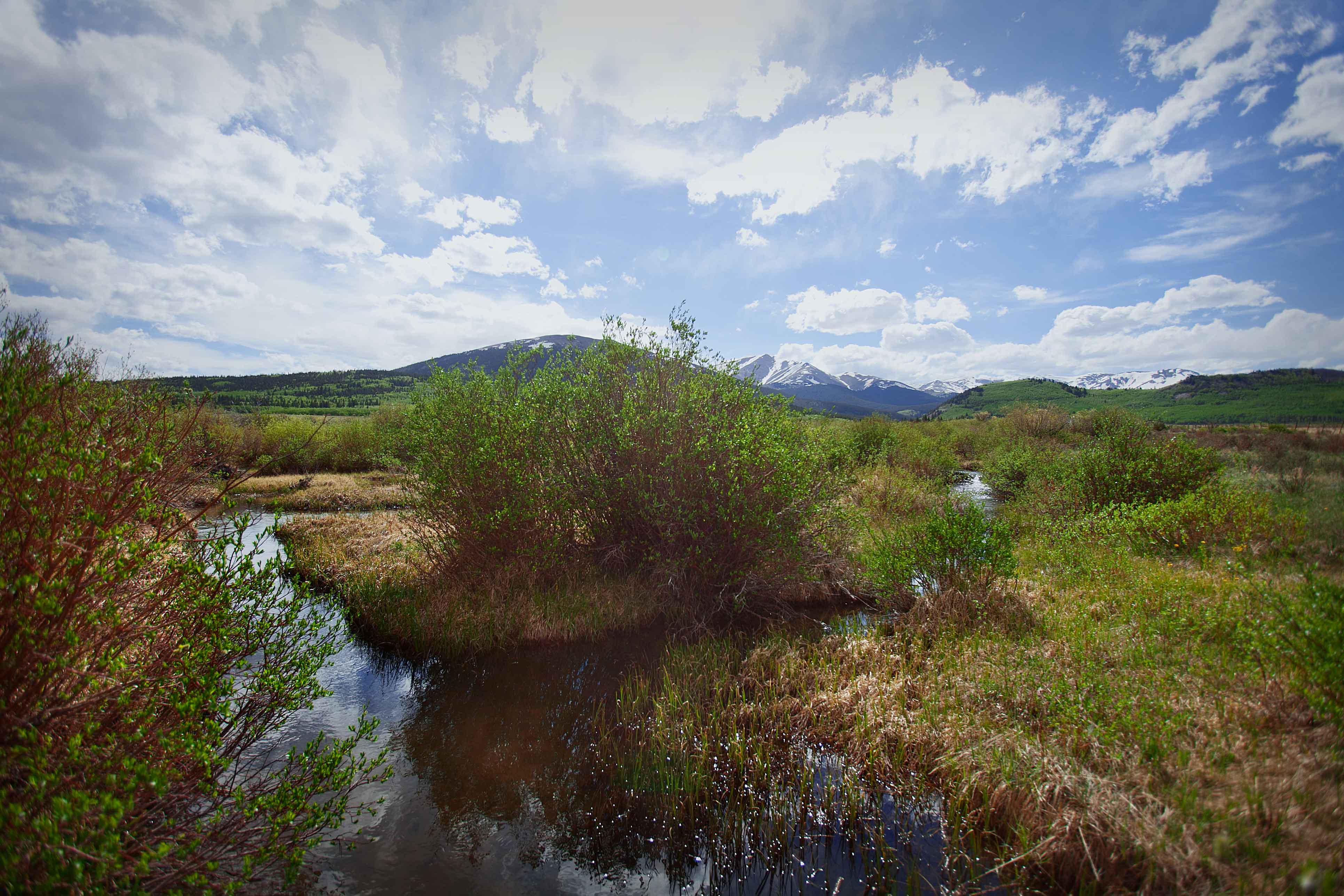 Tarryall Meadows Ranch Sold Colorado Hall and Hall
