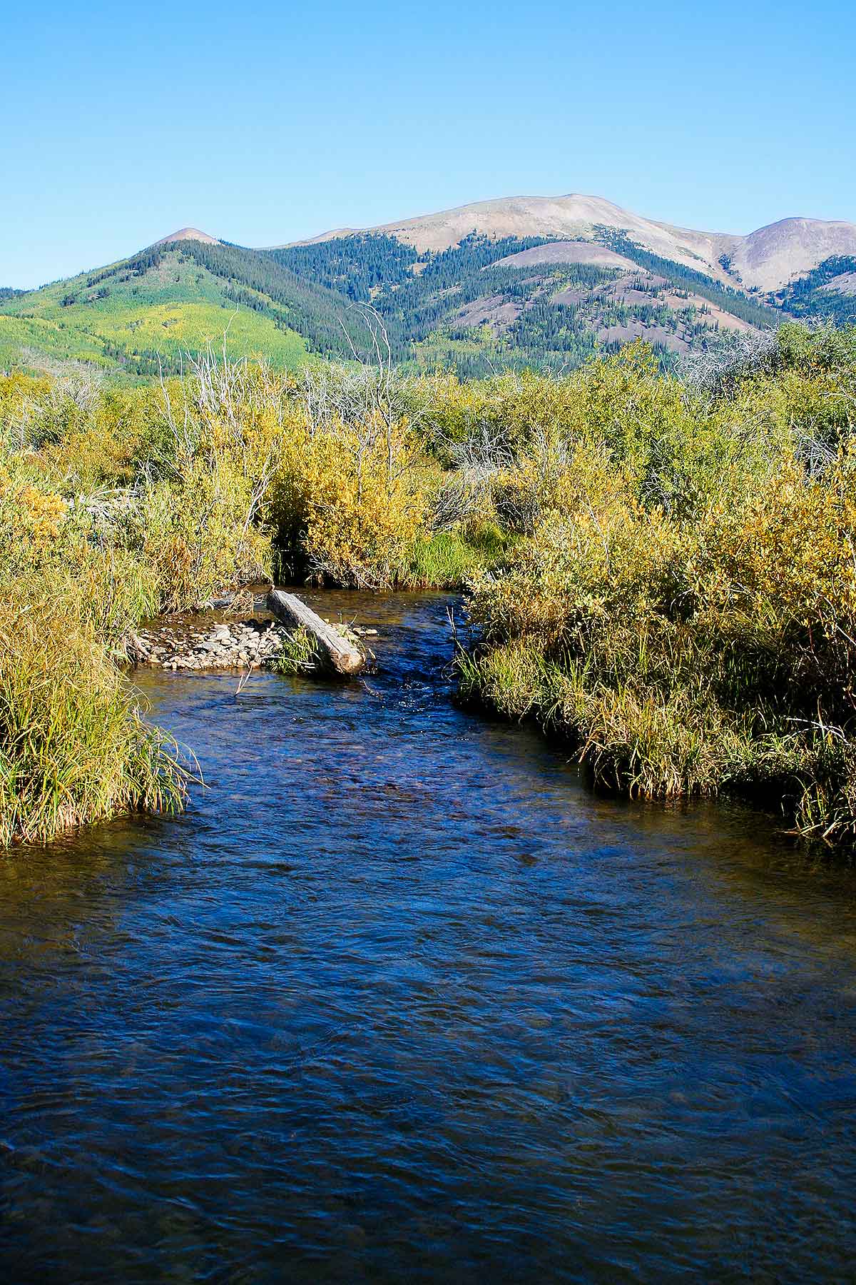 Tarryall Meadows Ranch Sold Colorado Hall and Hall