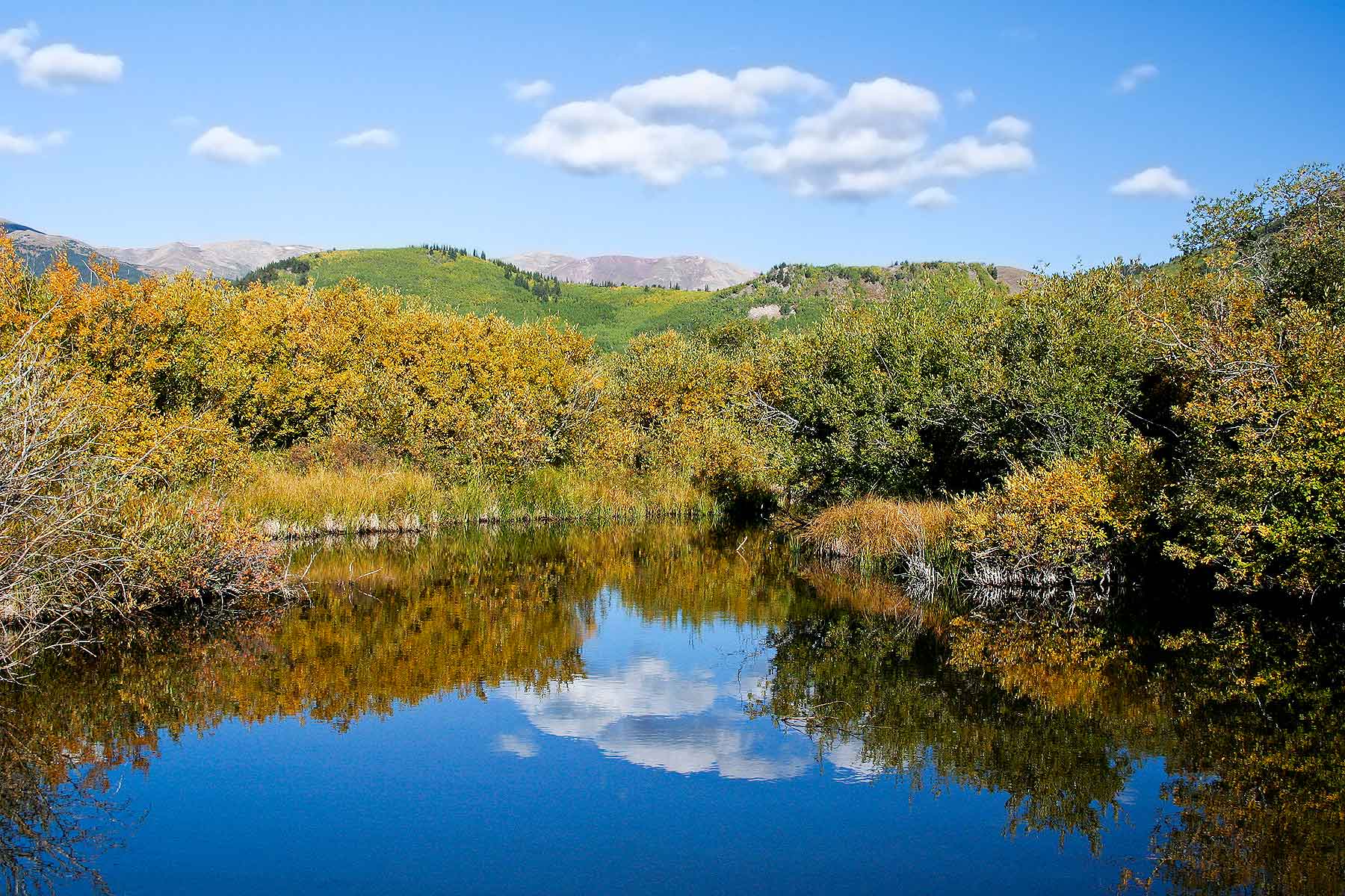 Tarryall Meadows Ranch Sold Colorado Hall and Hall